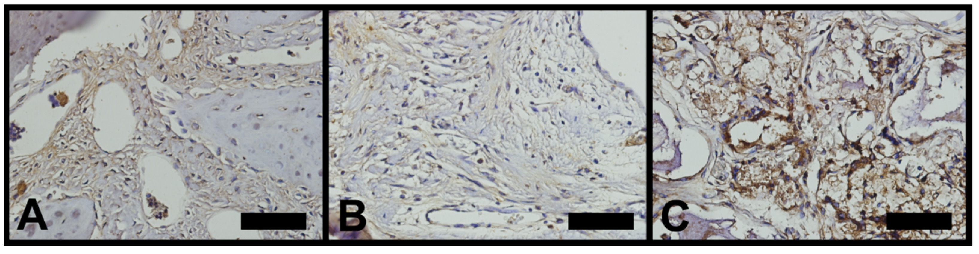 Minerals 11 01048 g008