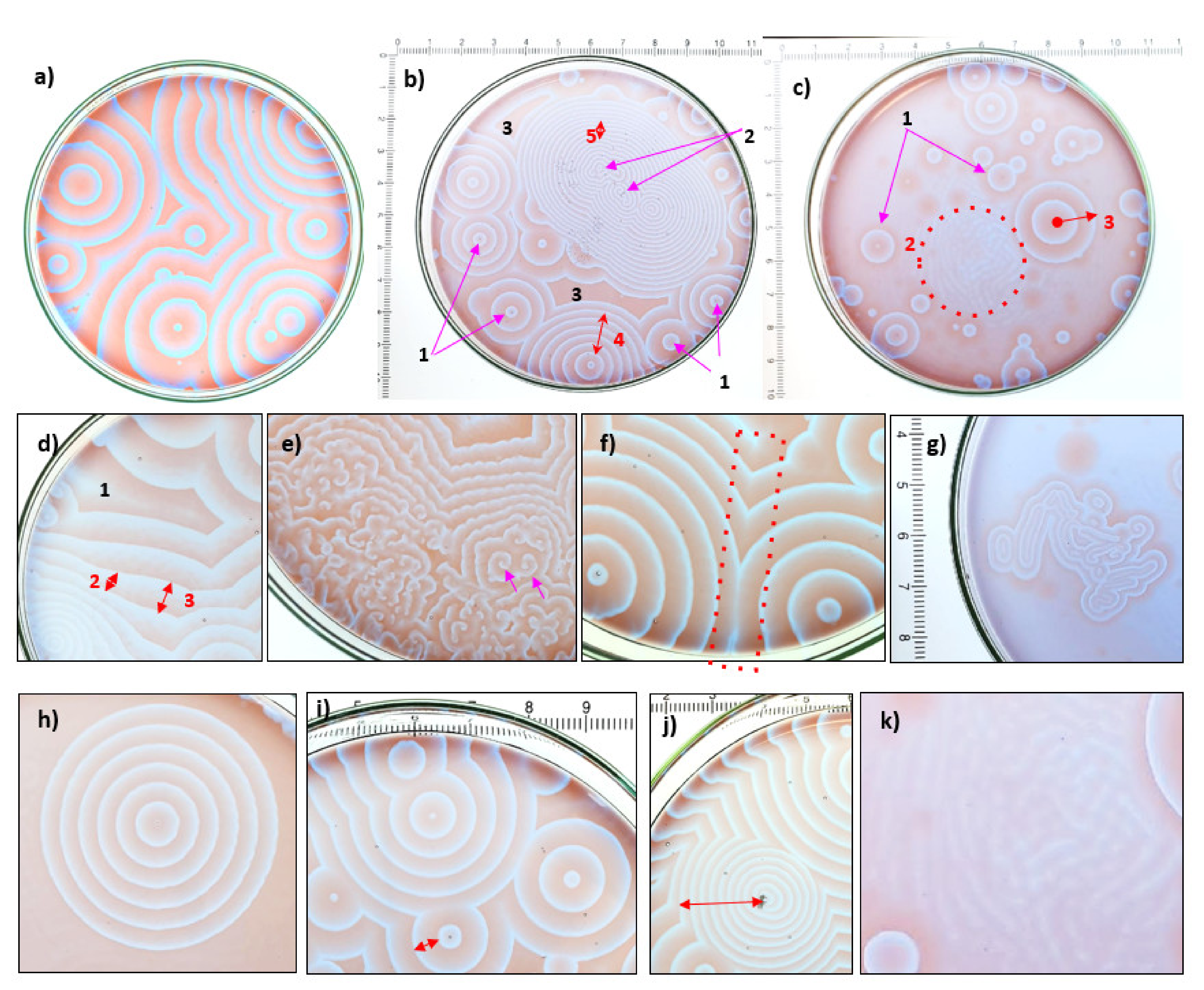 Minerals 11 01060 g002 550