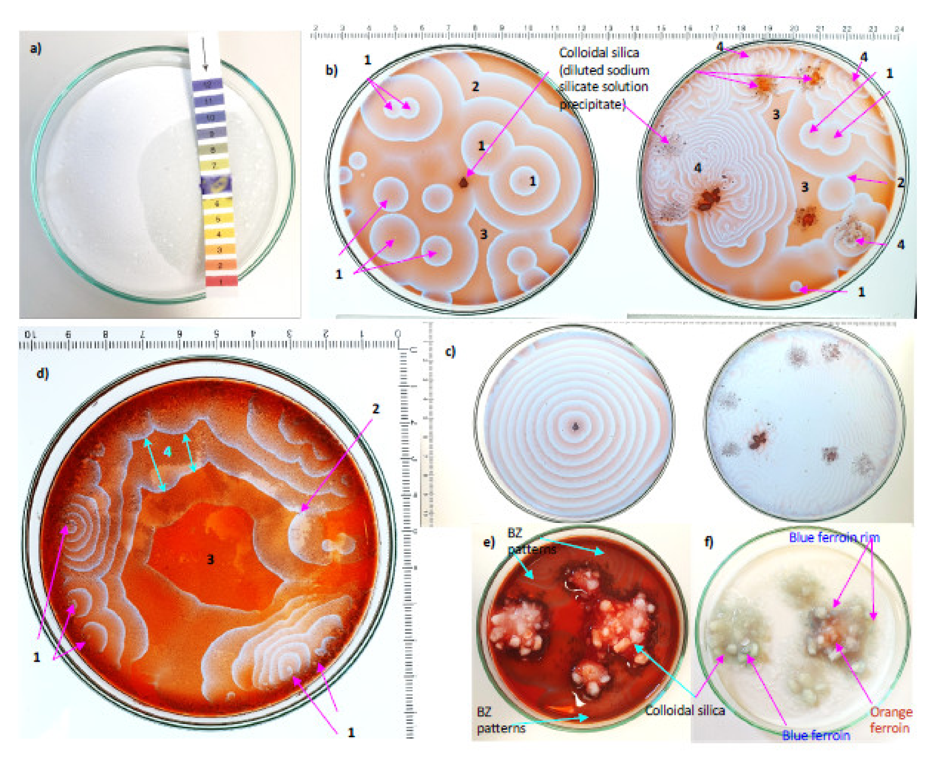 Minerals 11 01060 g004 550