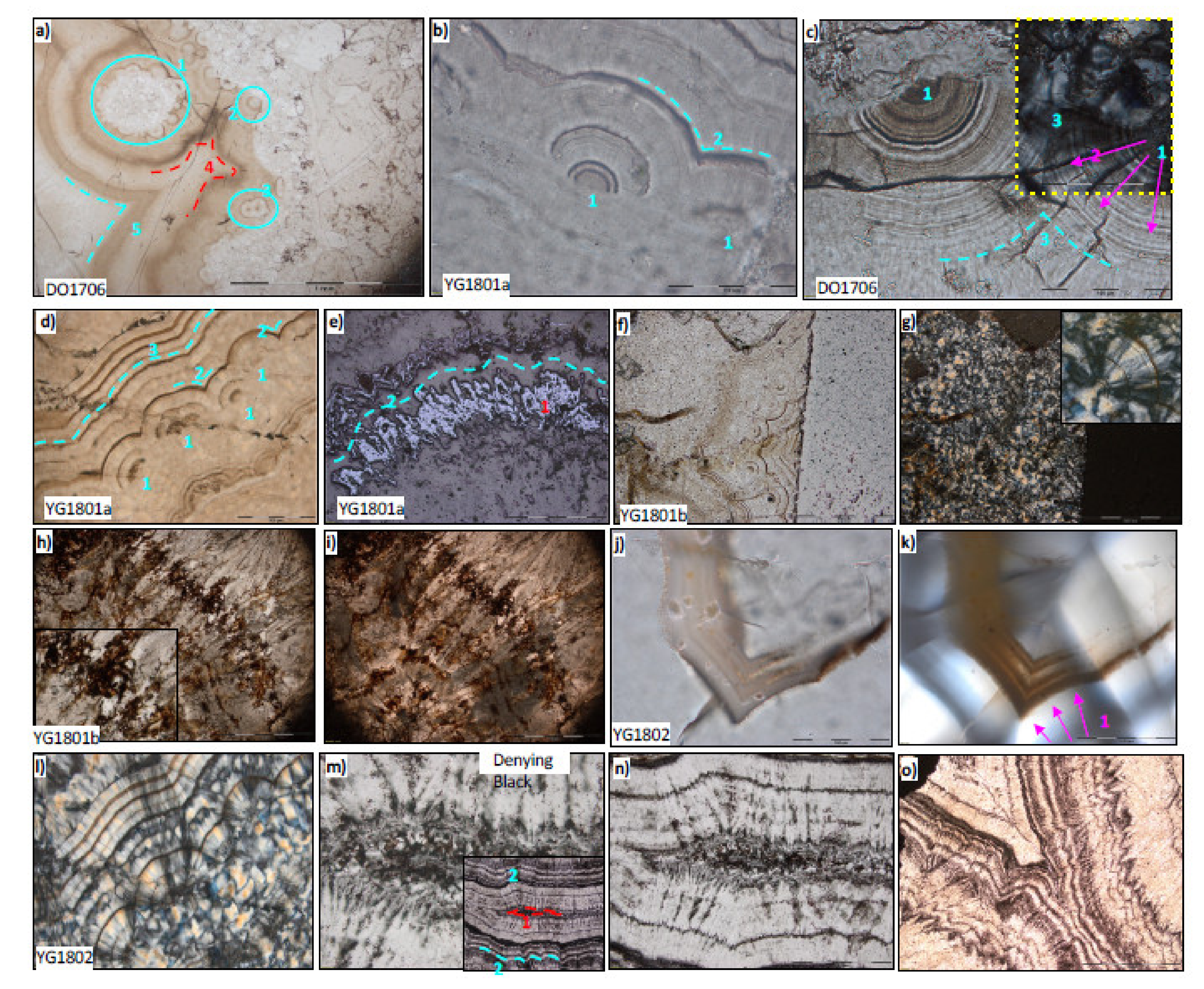 Minerals 11 01060 g006 550