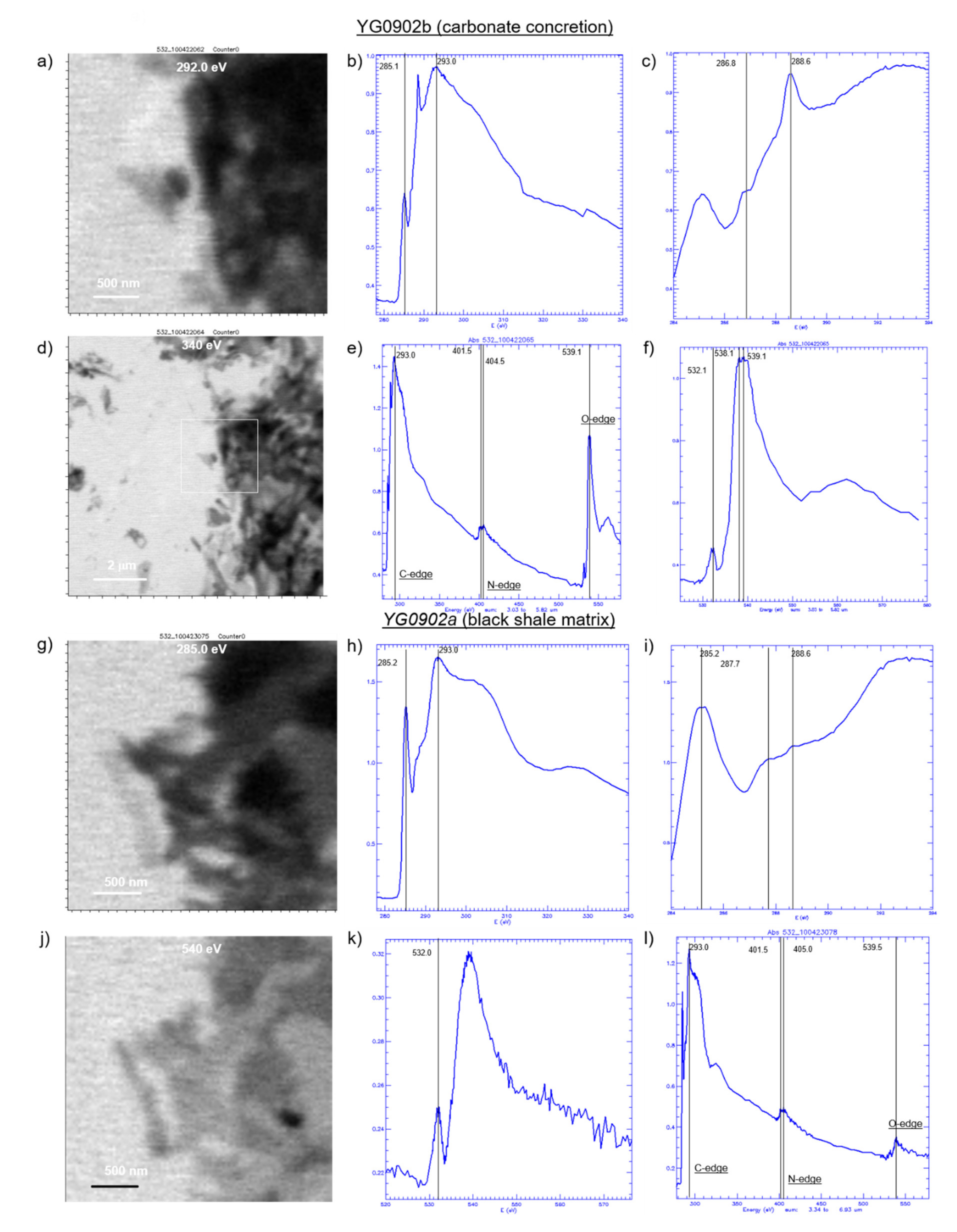 Minerals 11 01060 g008 550