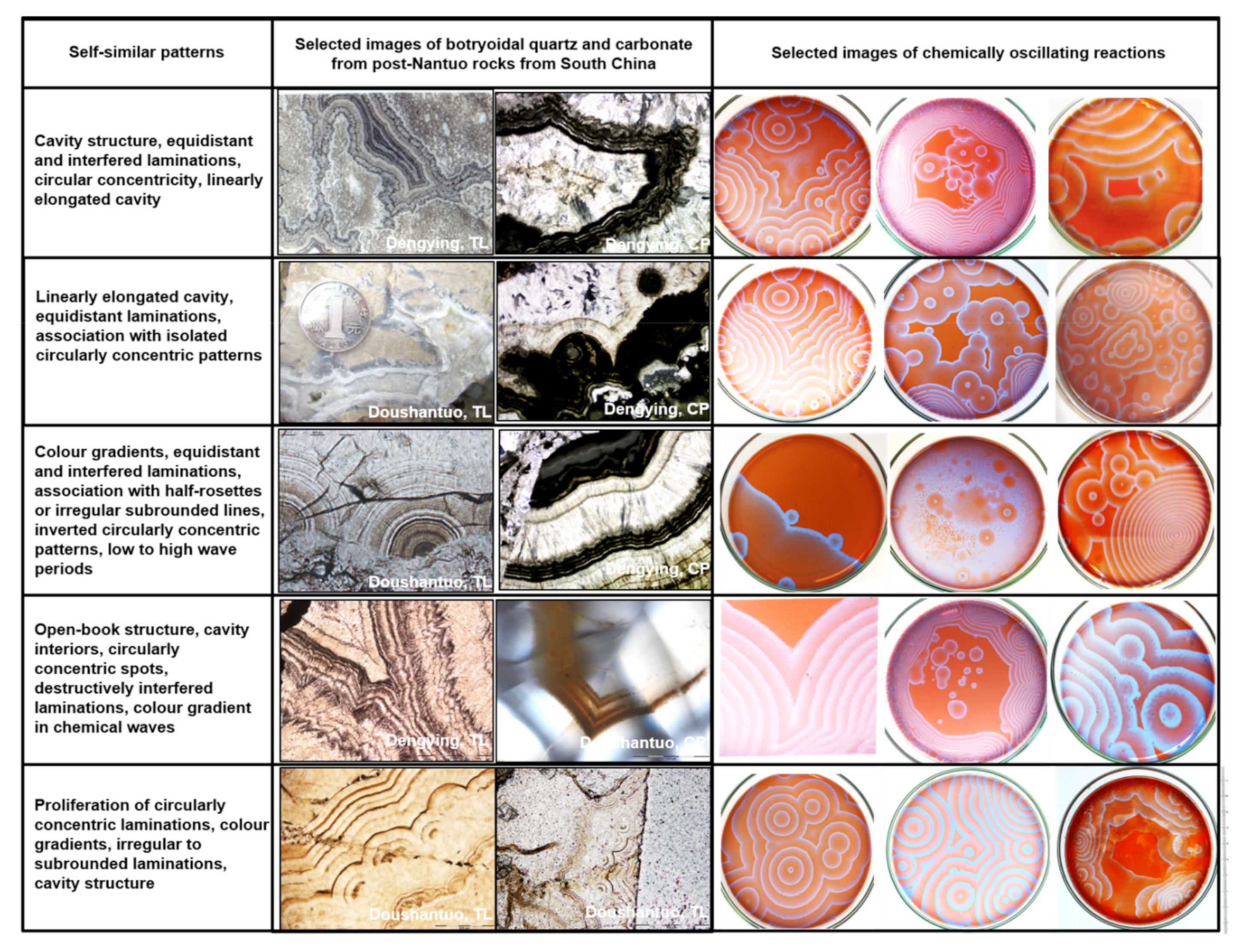 Minerals 11 01060 g009 550