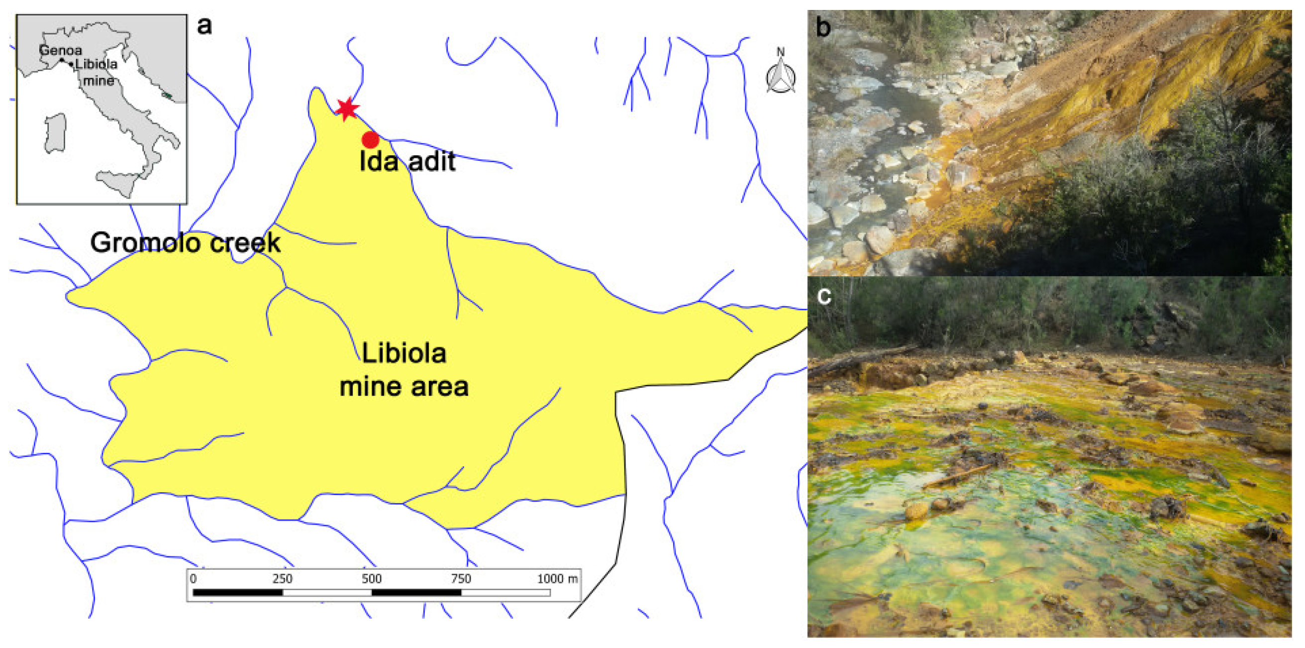 Minerals 11 01064 g001 550