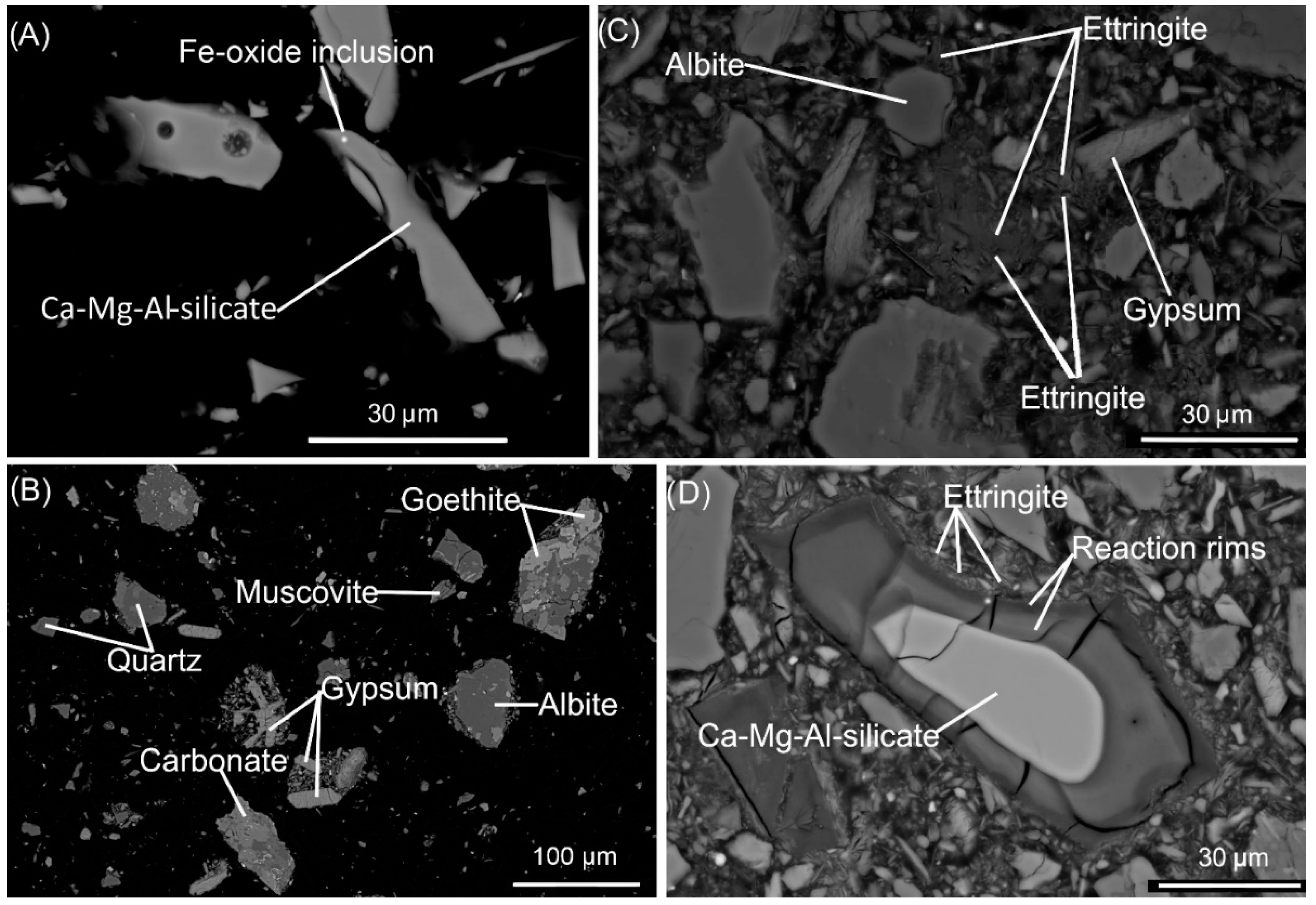 Minerals 11 01068 g001 550