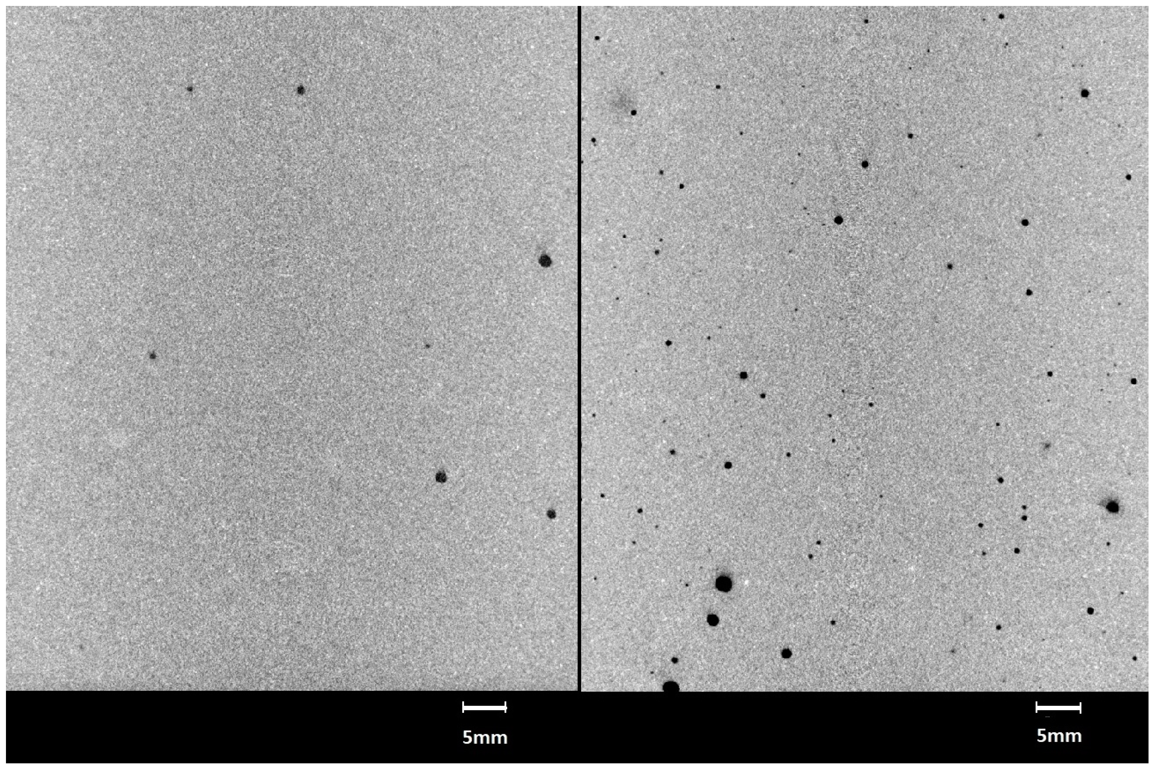 Minerals 11 01068 g005 550