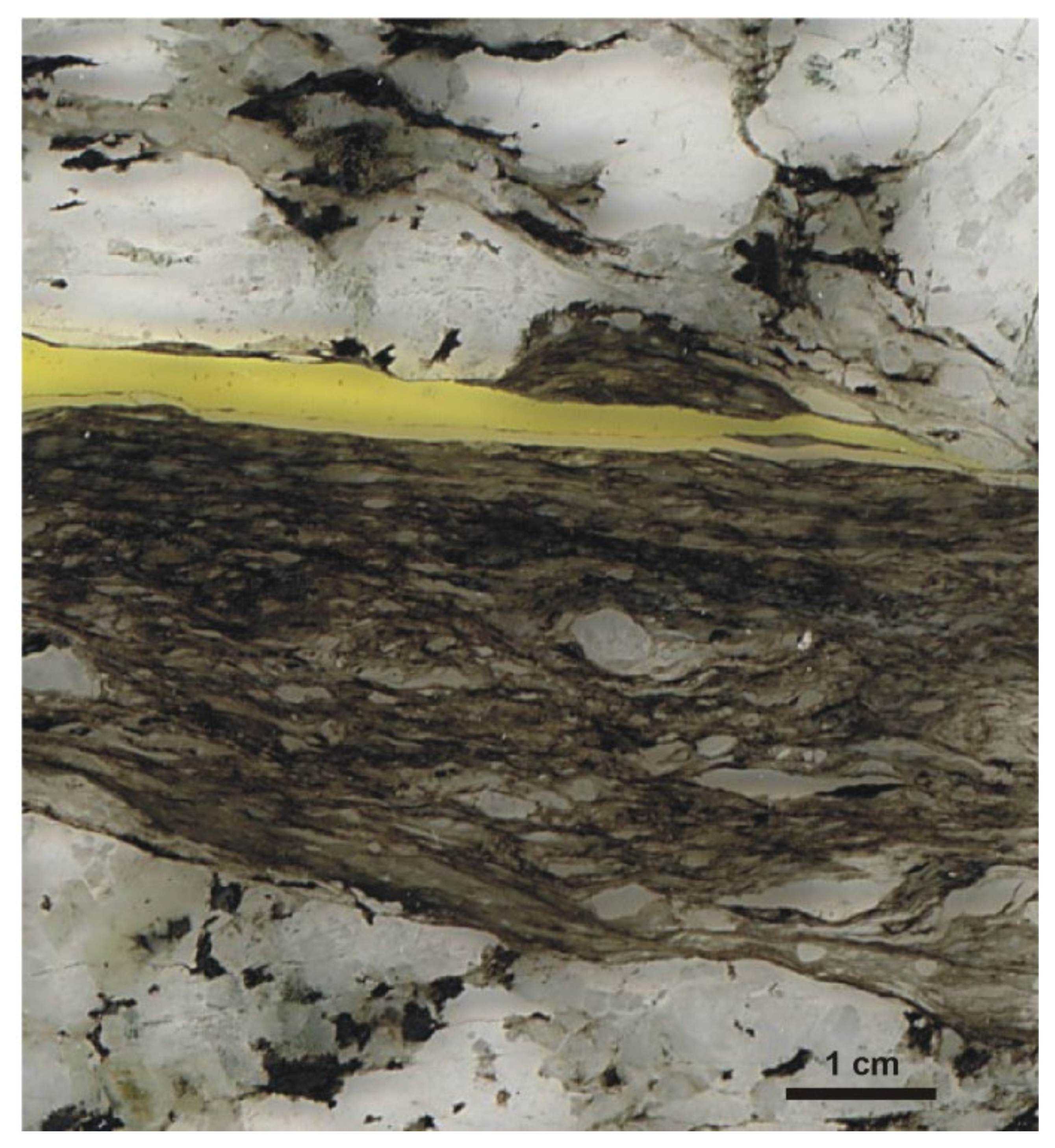 Minerals 11 01072 g001