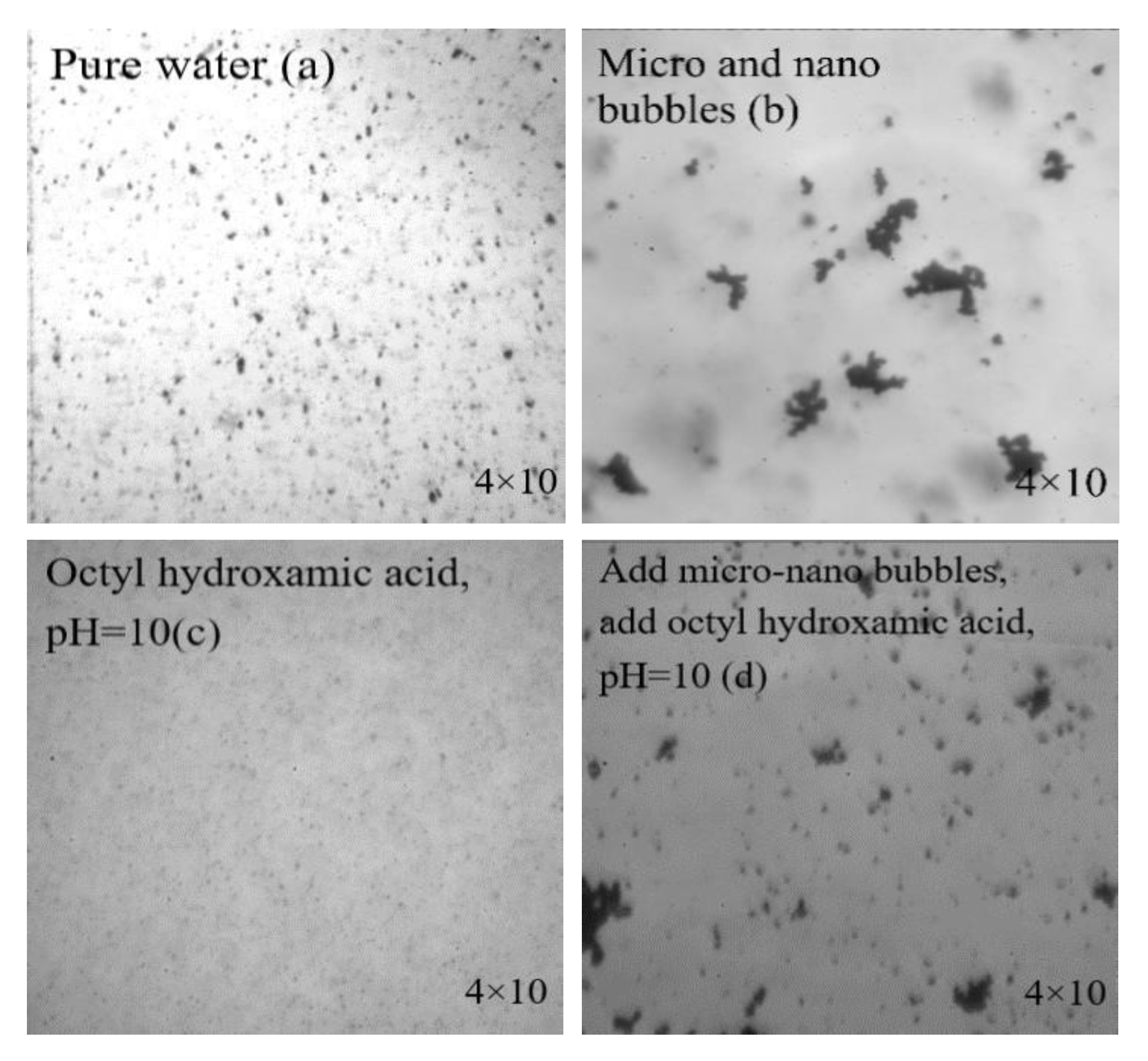 Minerals 11 01079 g008