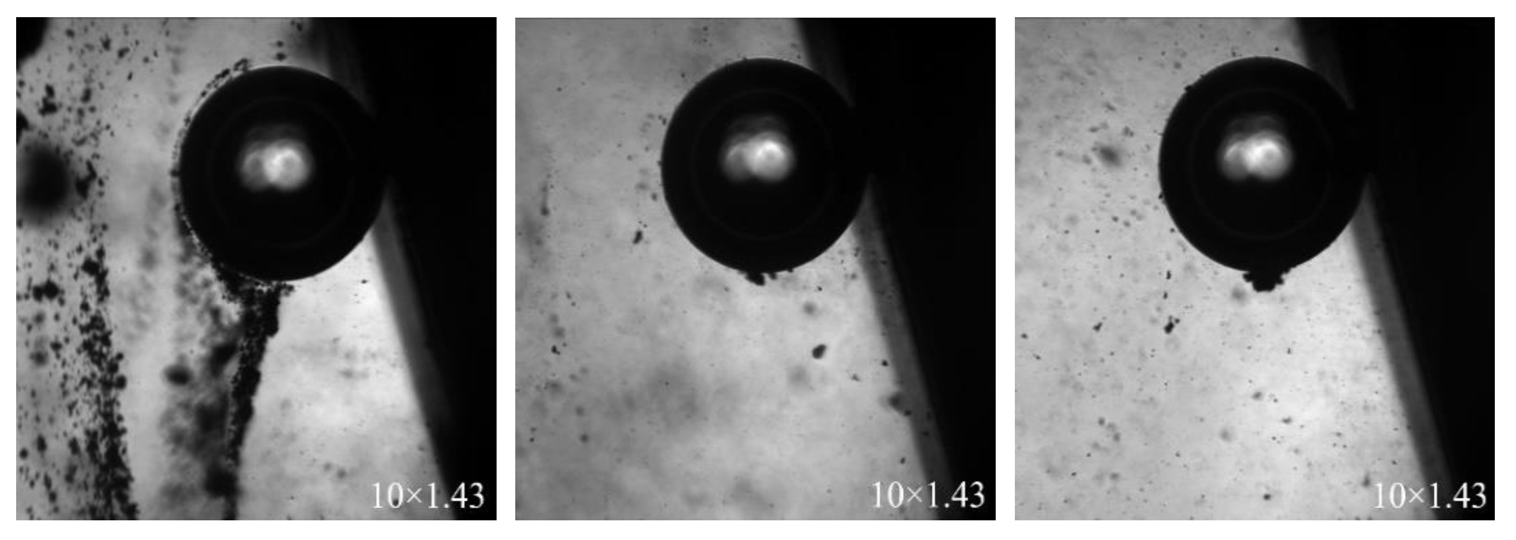 Minerals 11 01079 g010