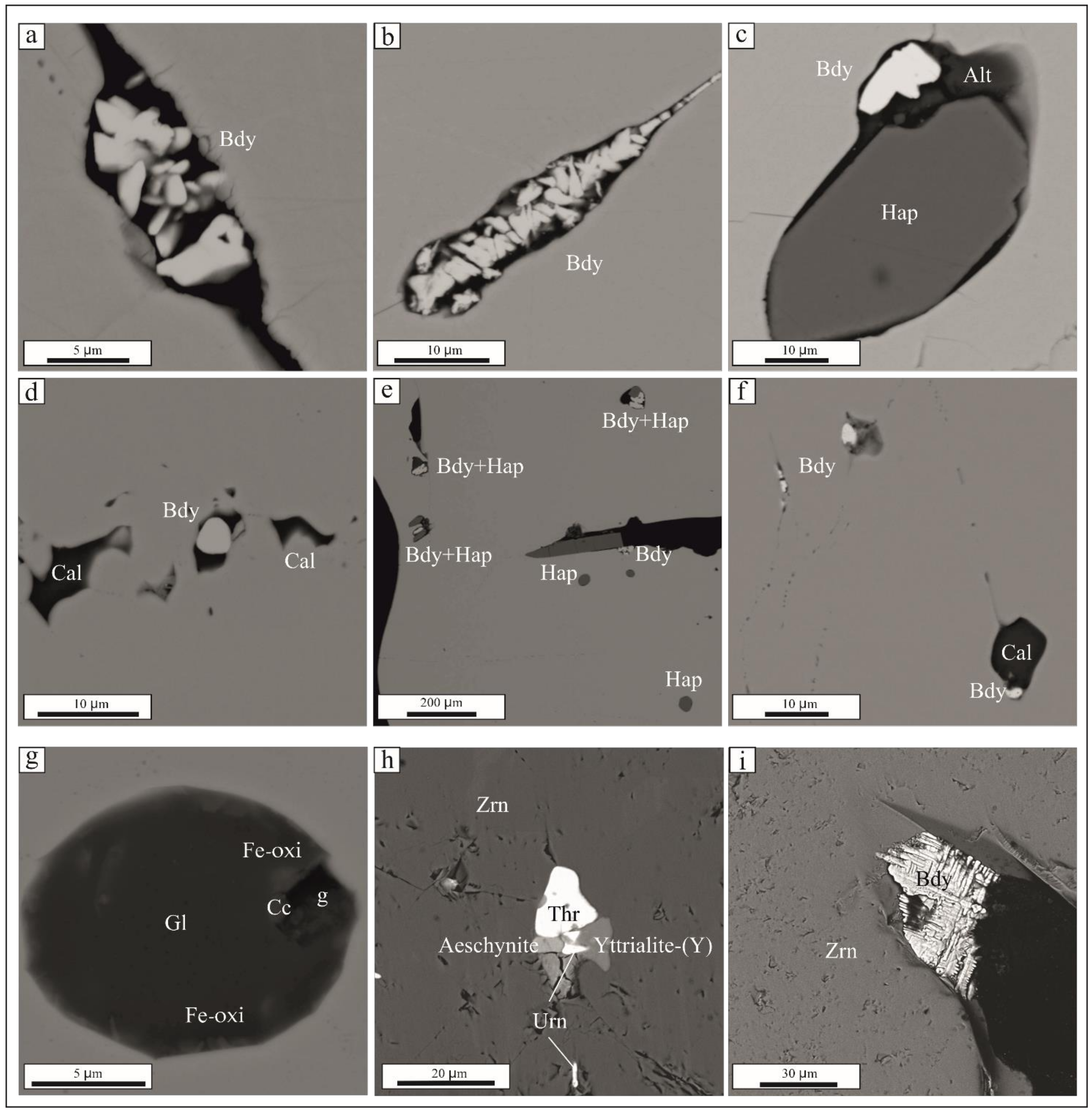 Minerals 11 01081 g006 550