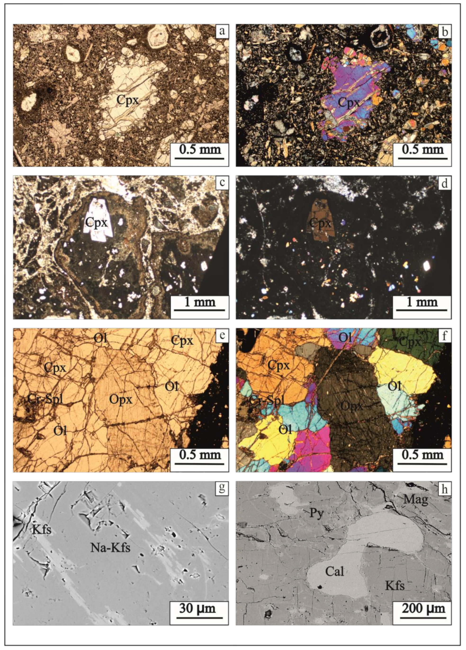 Minerals 11 01081 g010 550