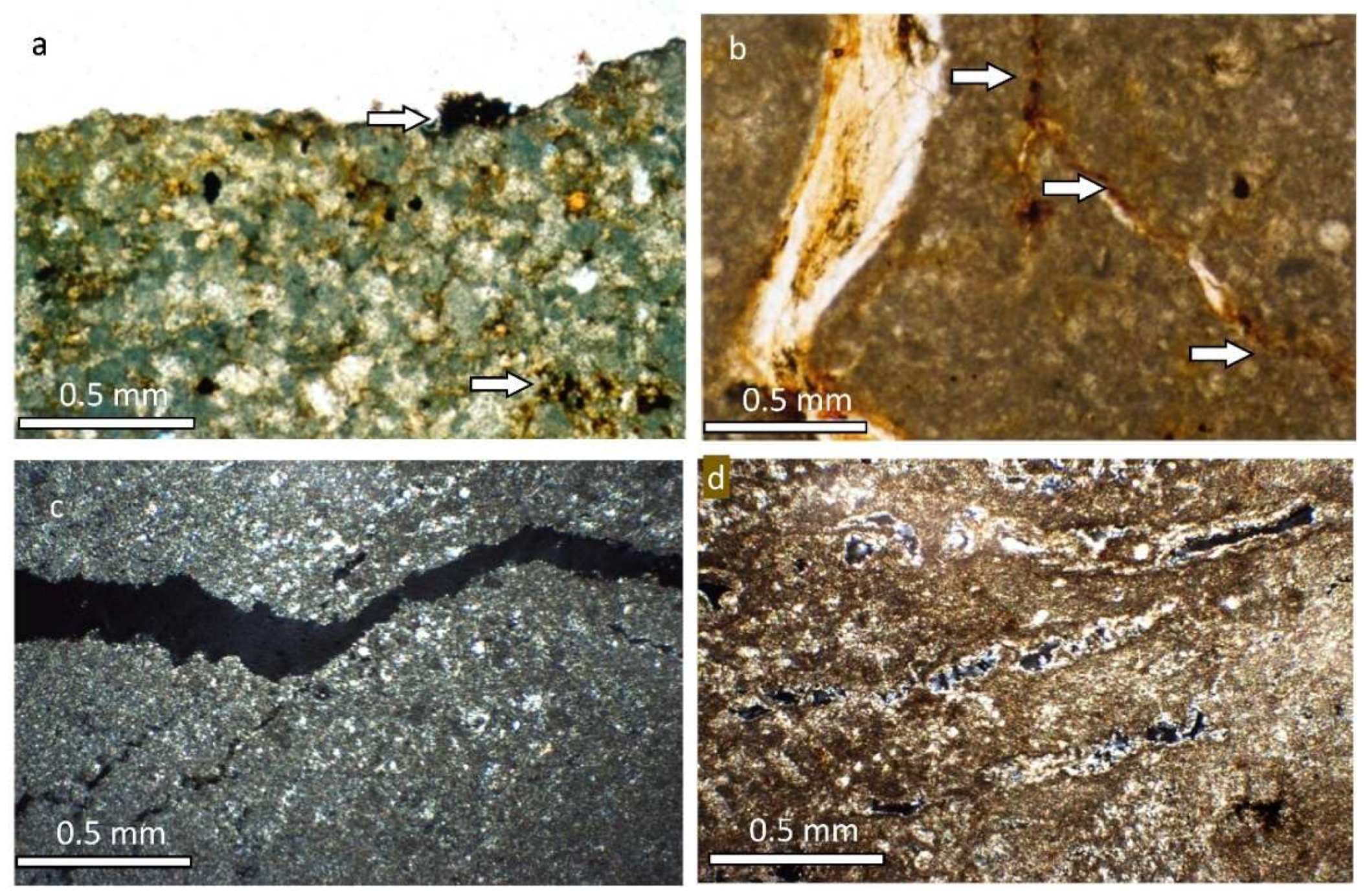 Minerals 11 01091 g006