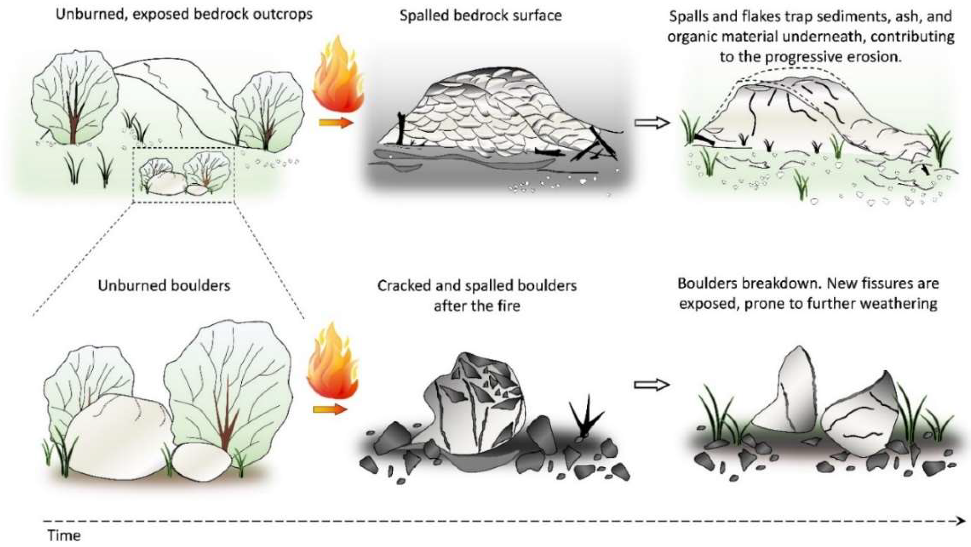 Minerals 11 01091 g008