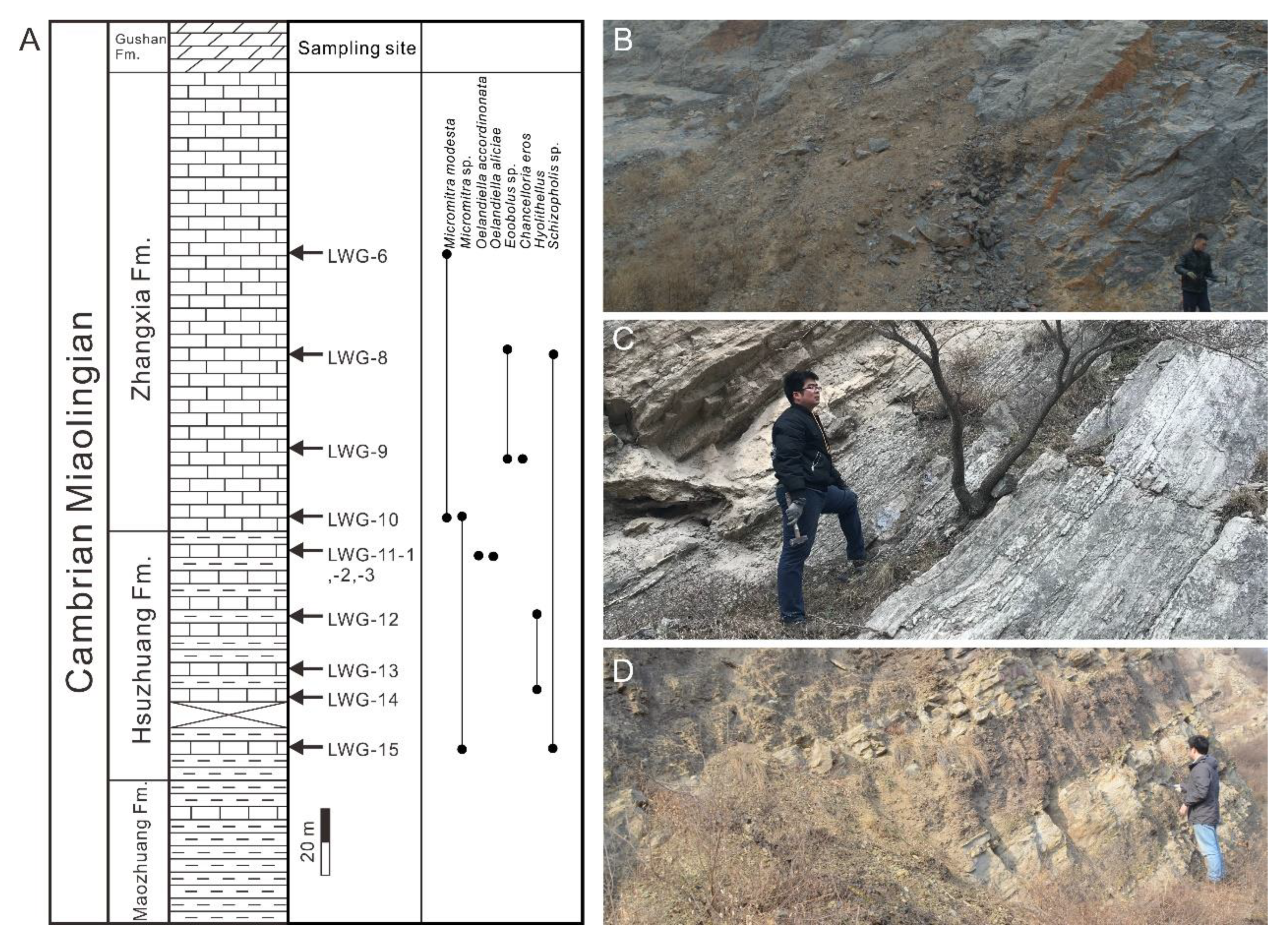 Minerals 11 01104 g002