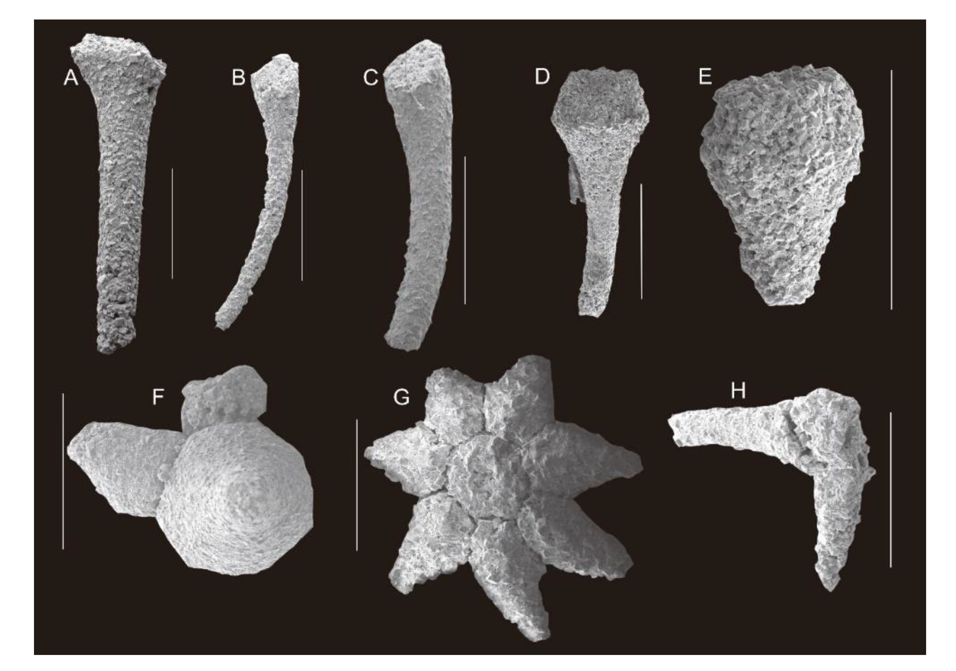 Minerals 11 01104 g005
