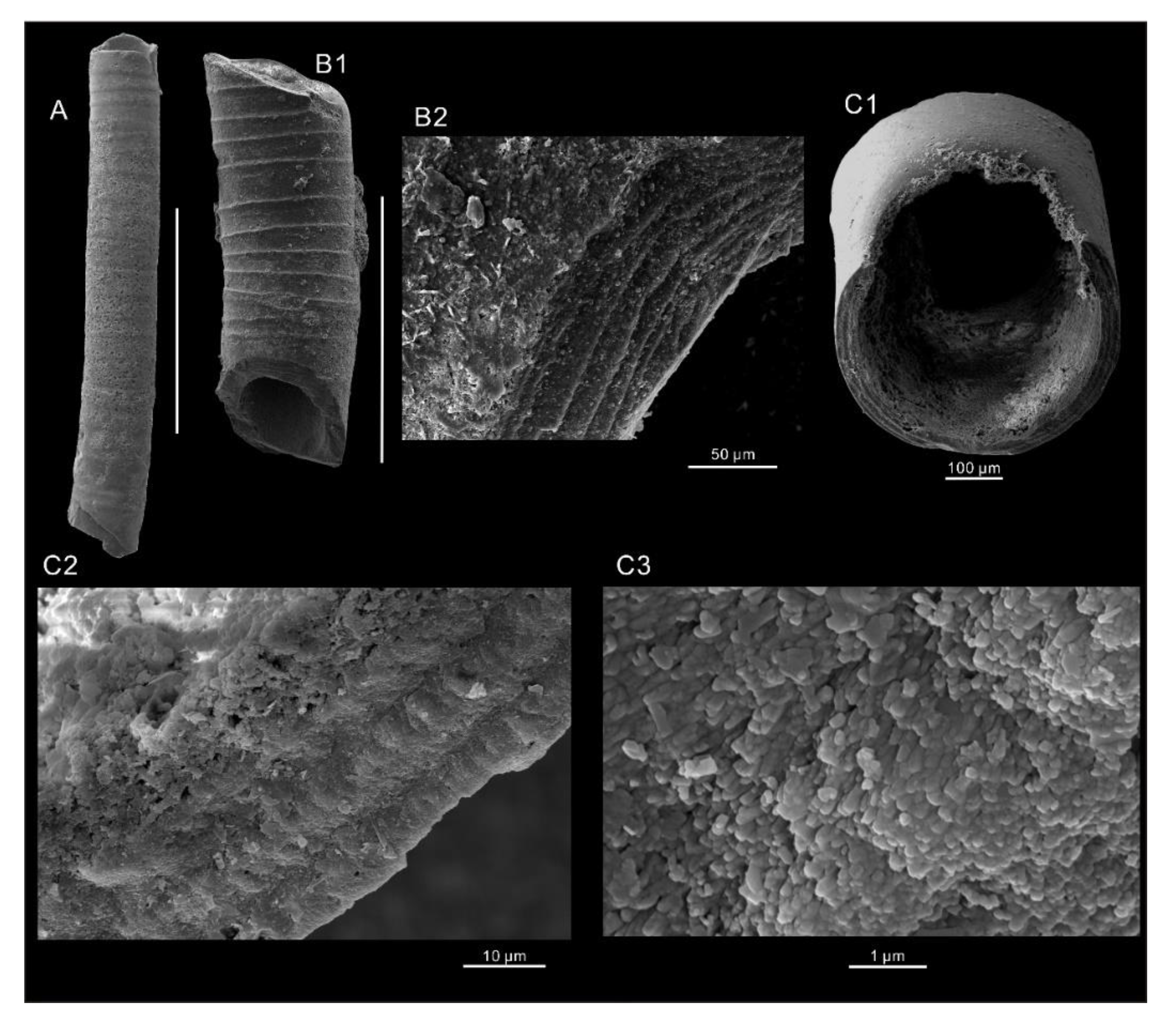 Minerals 11 01104 g006