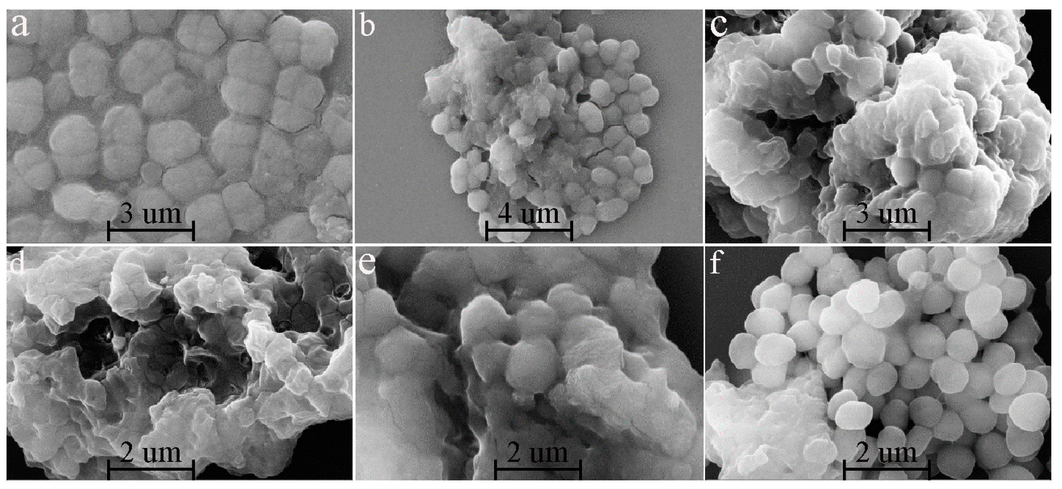 A Model for Manganese interaction with Deinococcus radiodurans