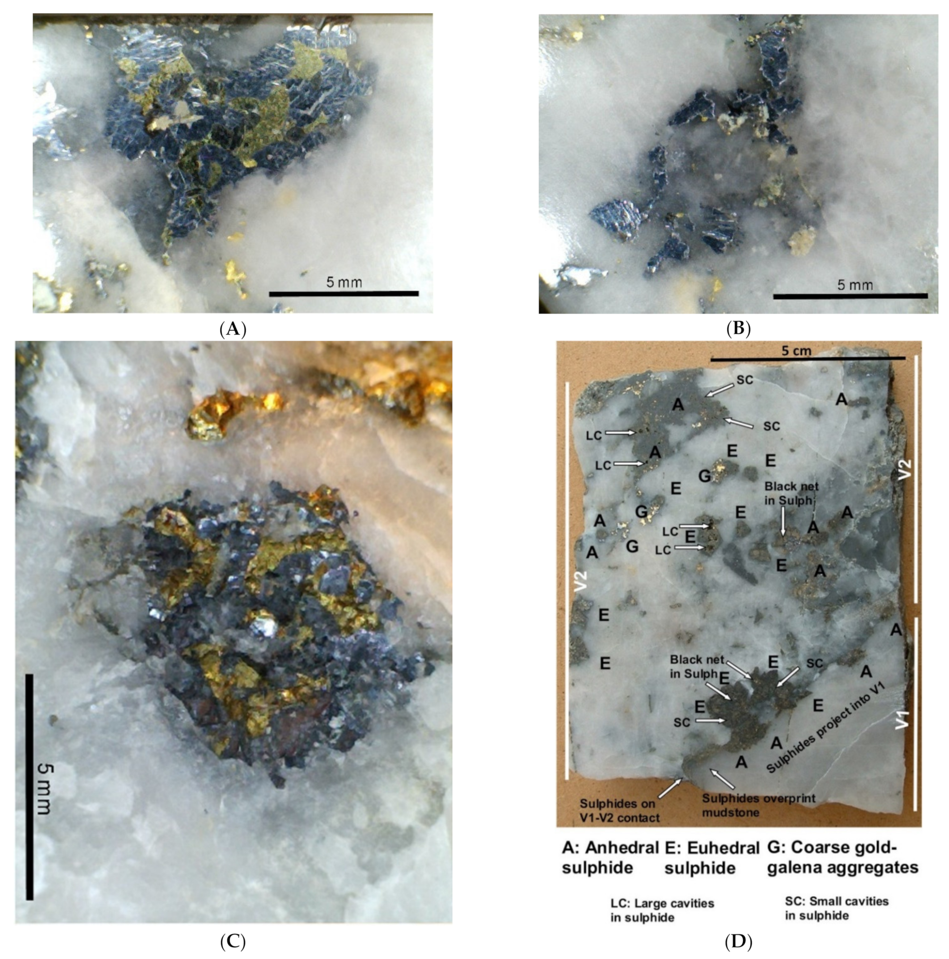 Minerals 11 01109 g010