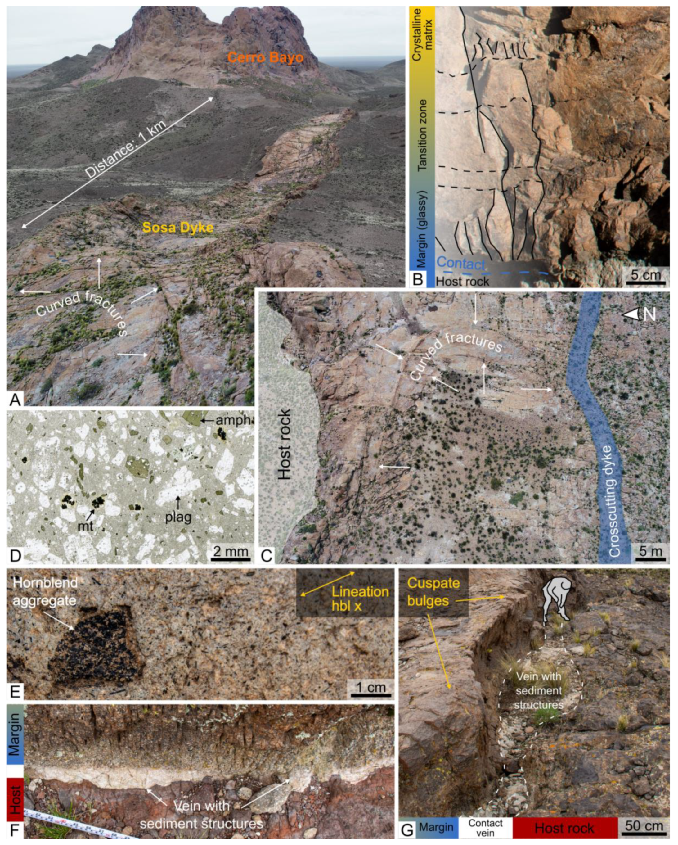 Minerals 11 01113 g003