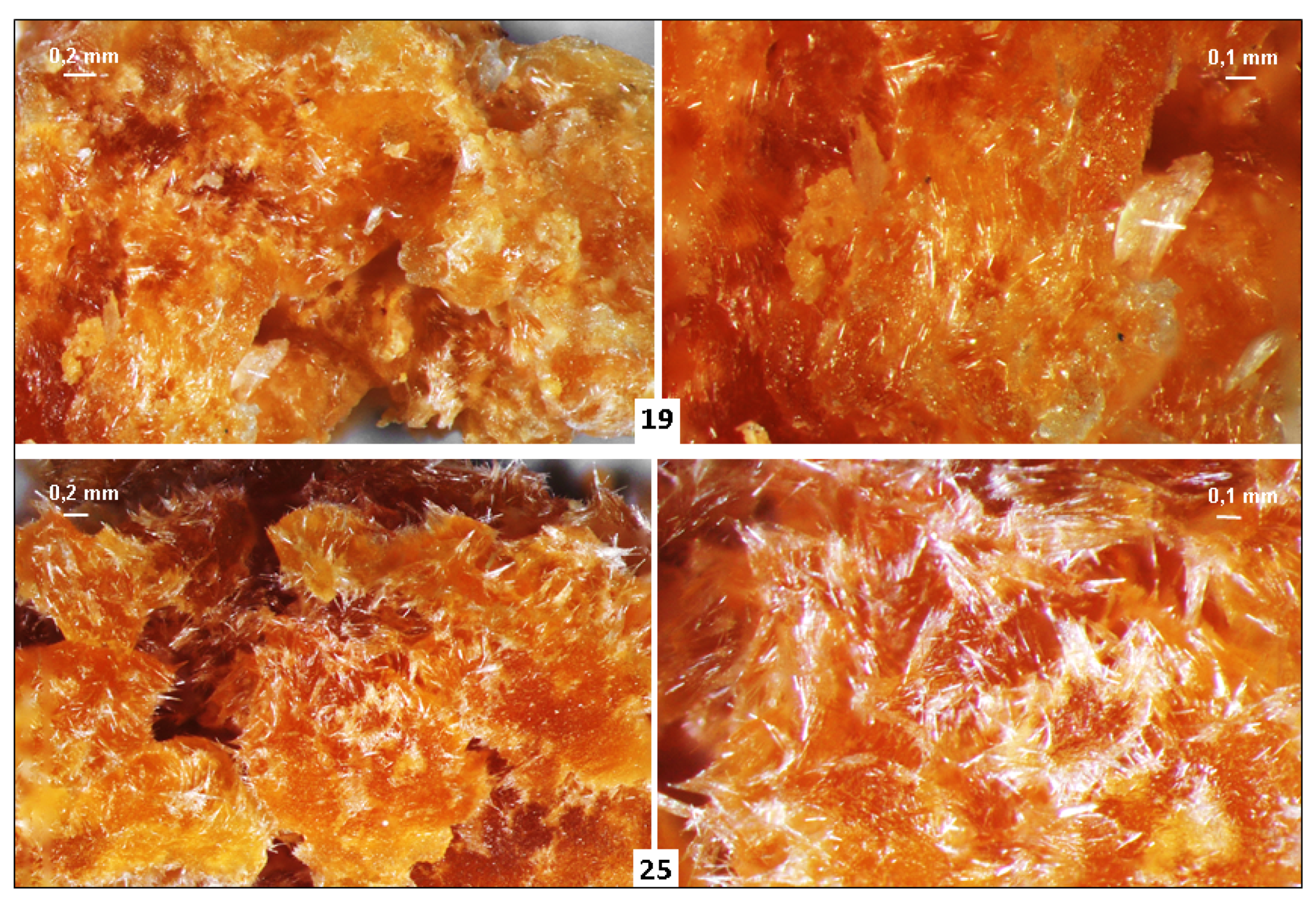 Minerals 11 01115 g004