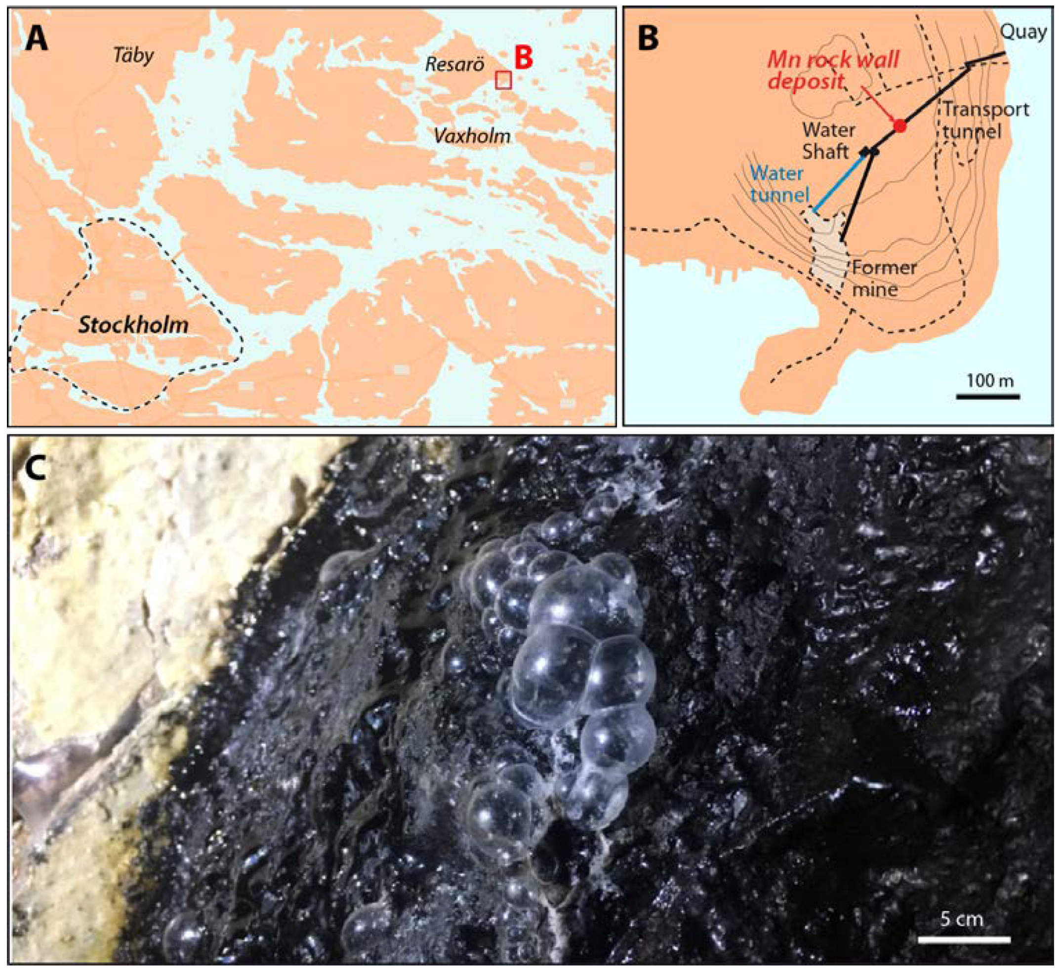 Minerals 11 01146 g001