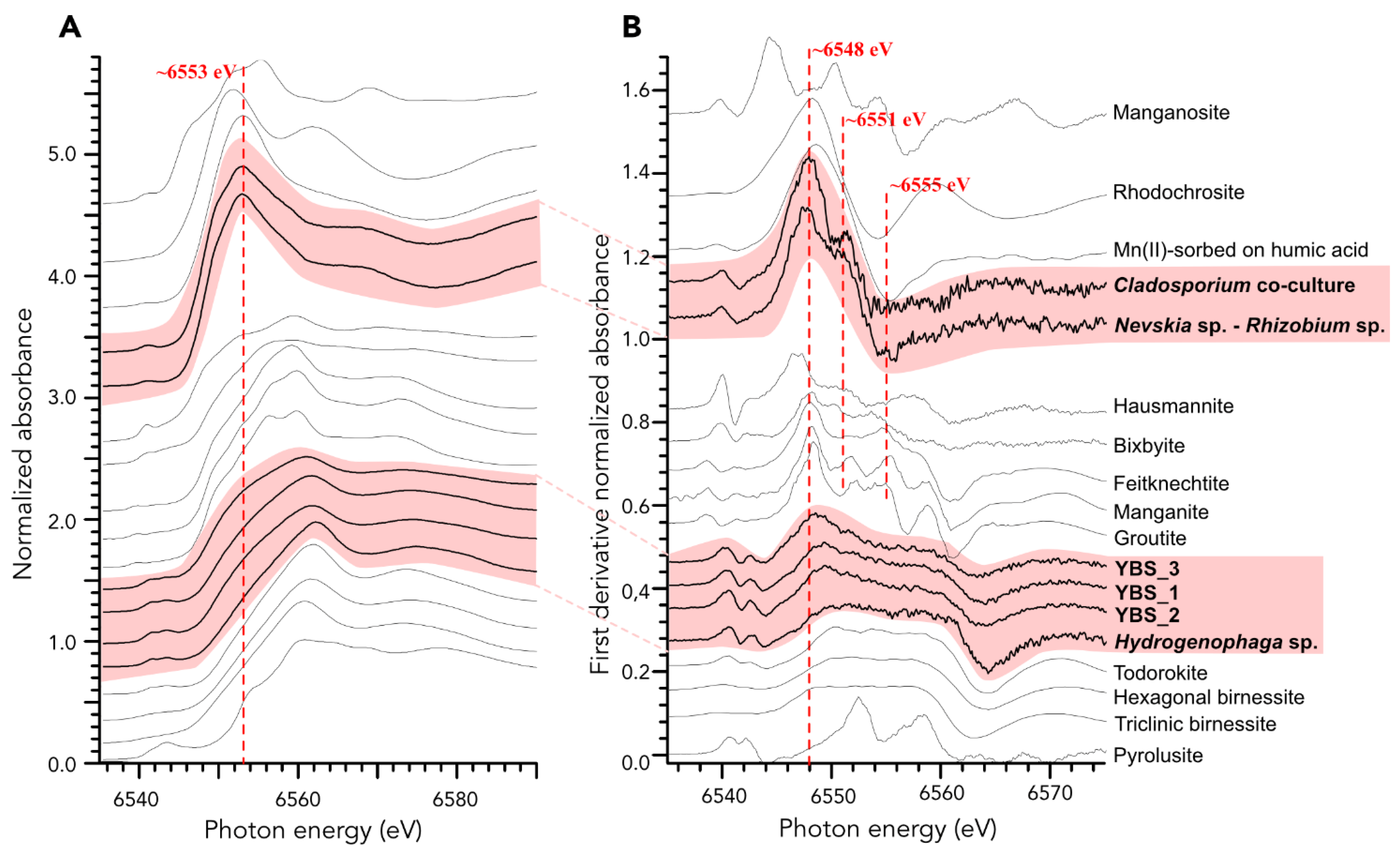 Minerals 11 01146 g008