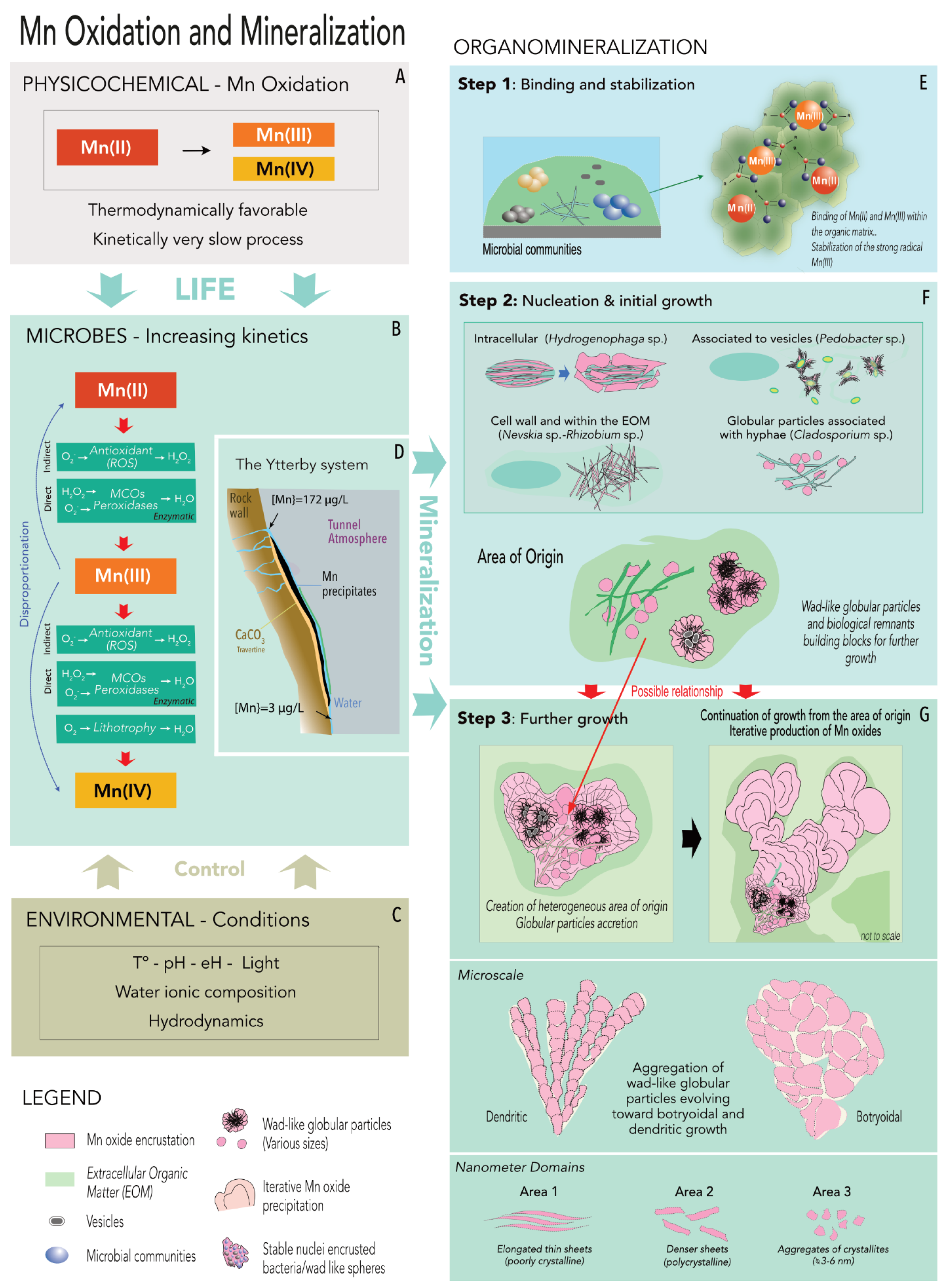 Minerals 11 01146 g010