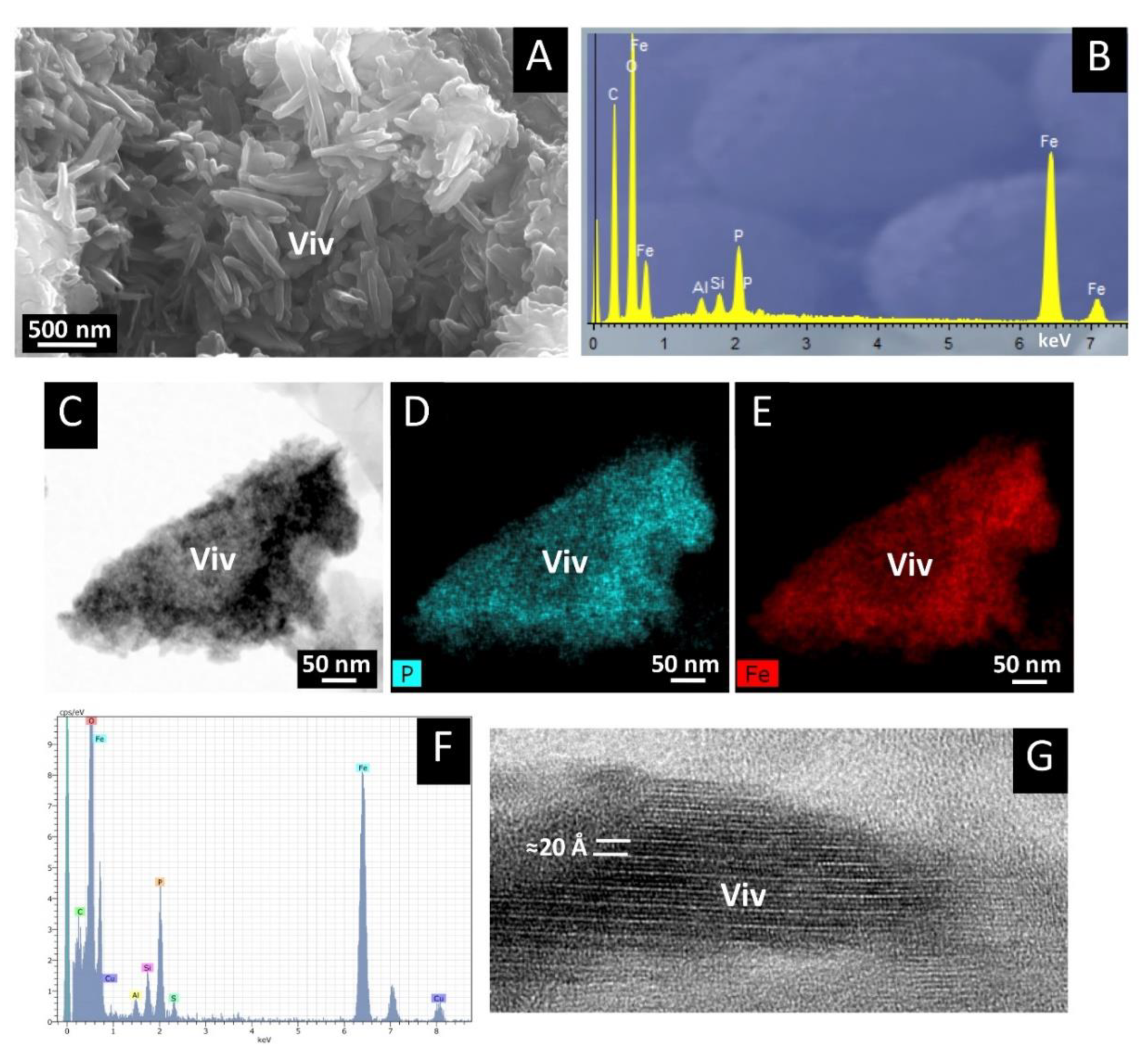 Minerals 11 01148 g004 550