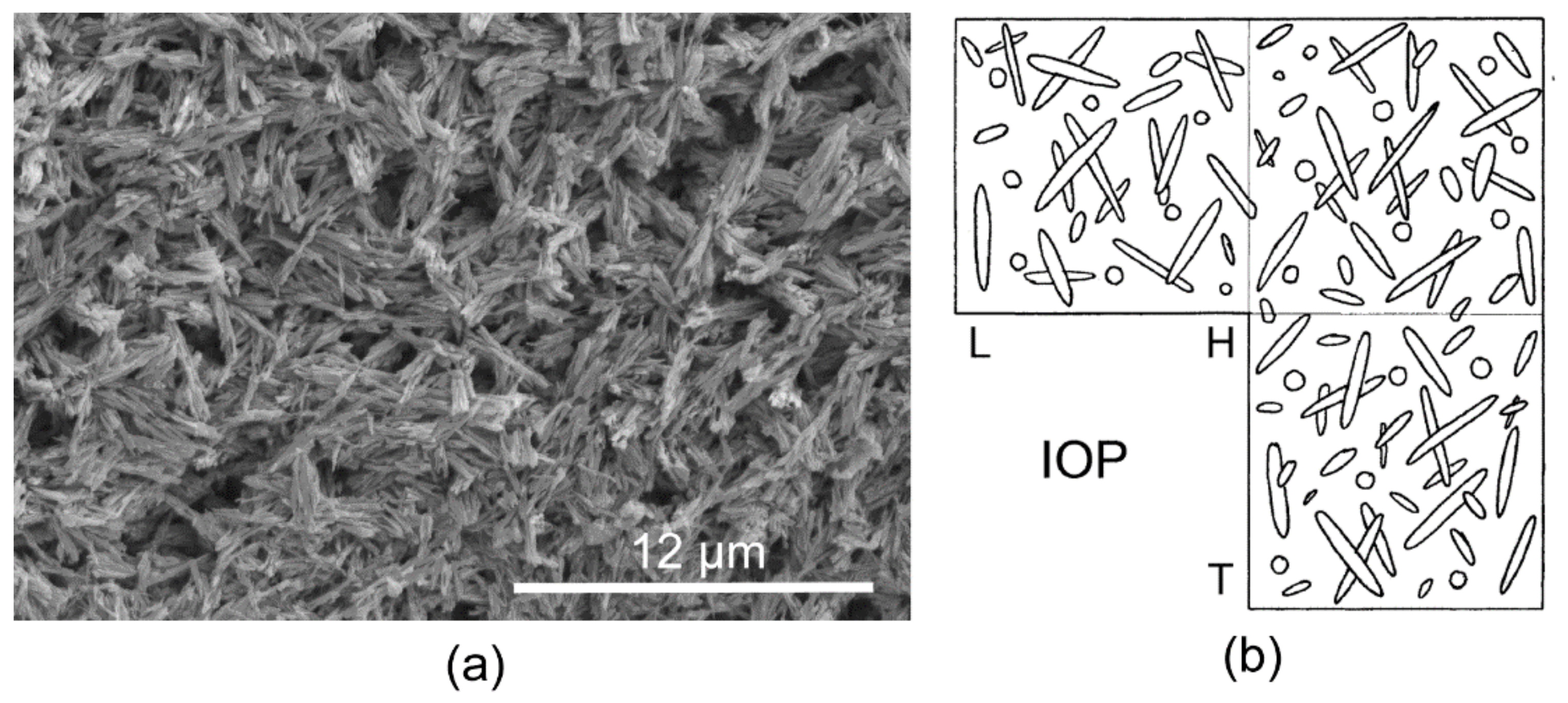 Minerals 11 01151 g002
