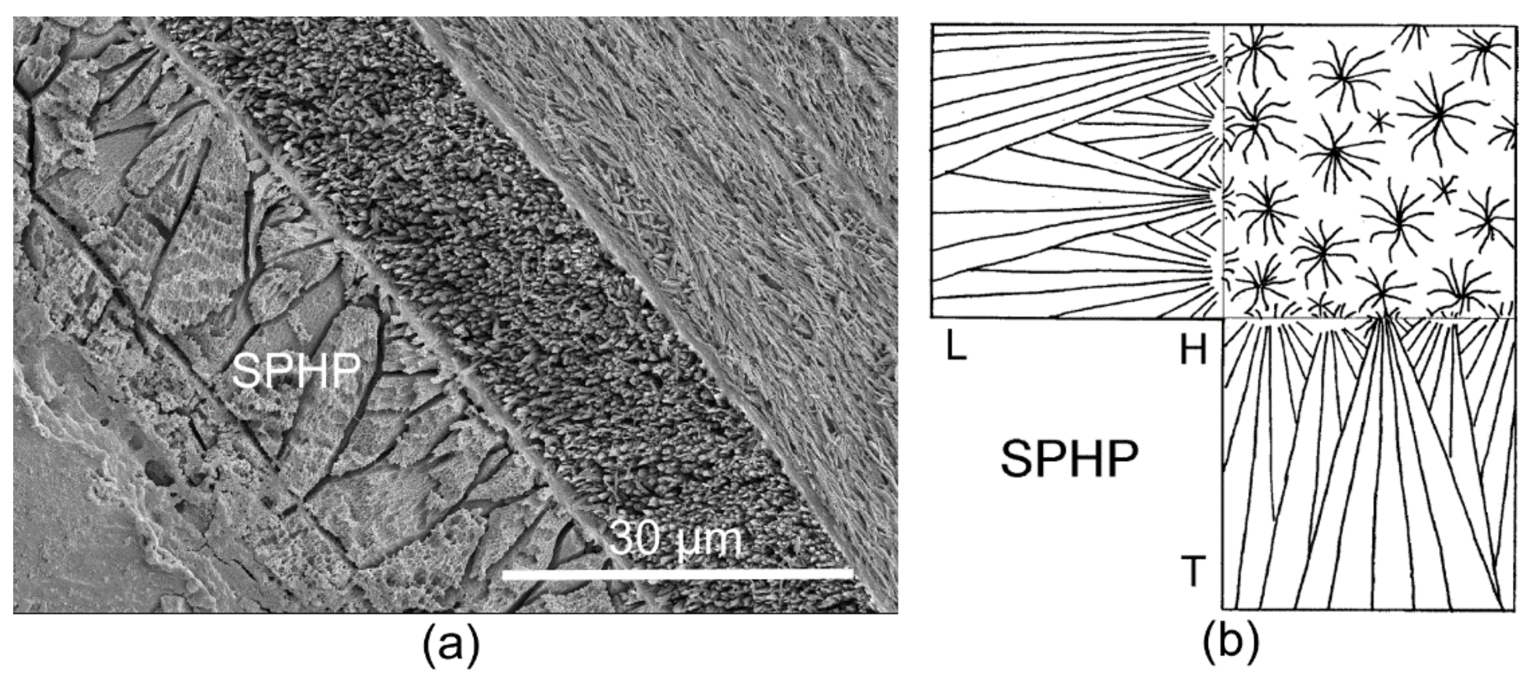 Minerals 11 01151 g004