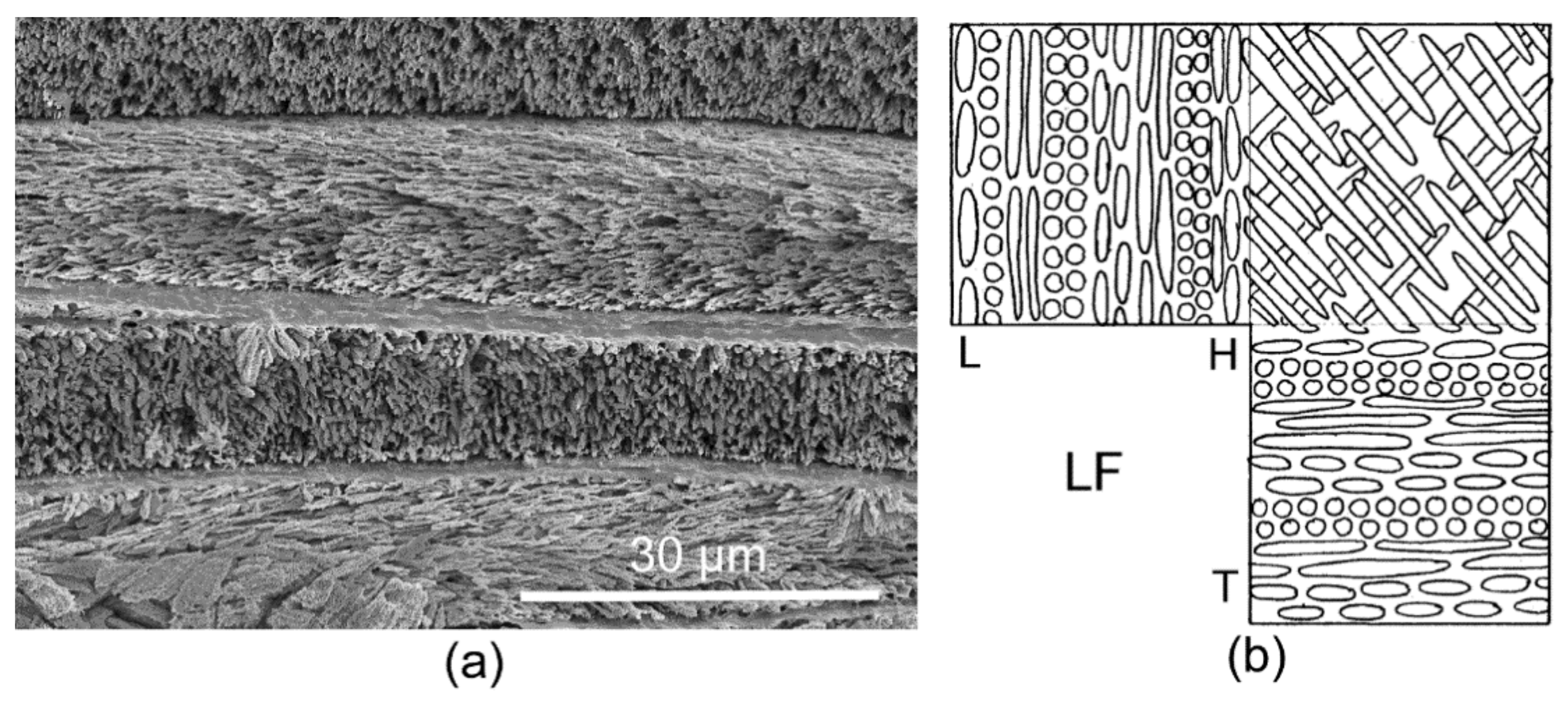 Minerals 11 01151 g005