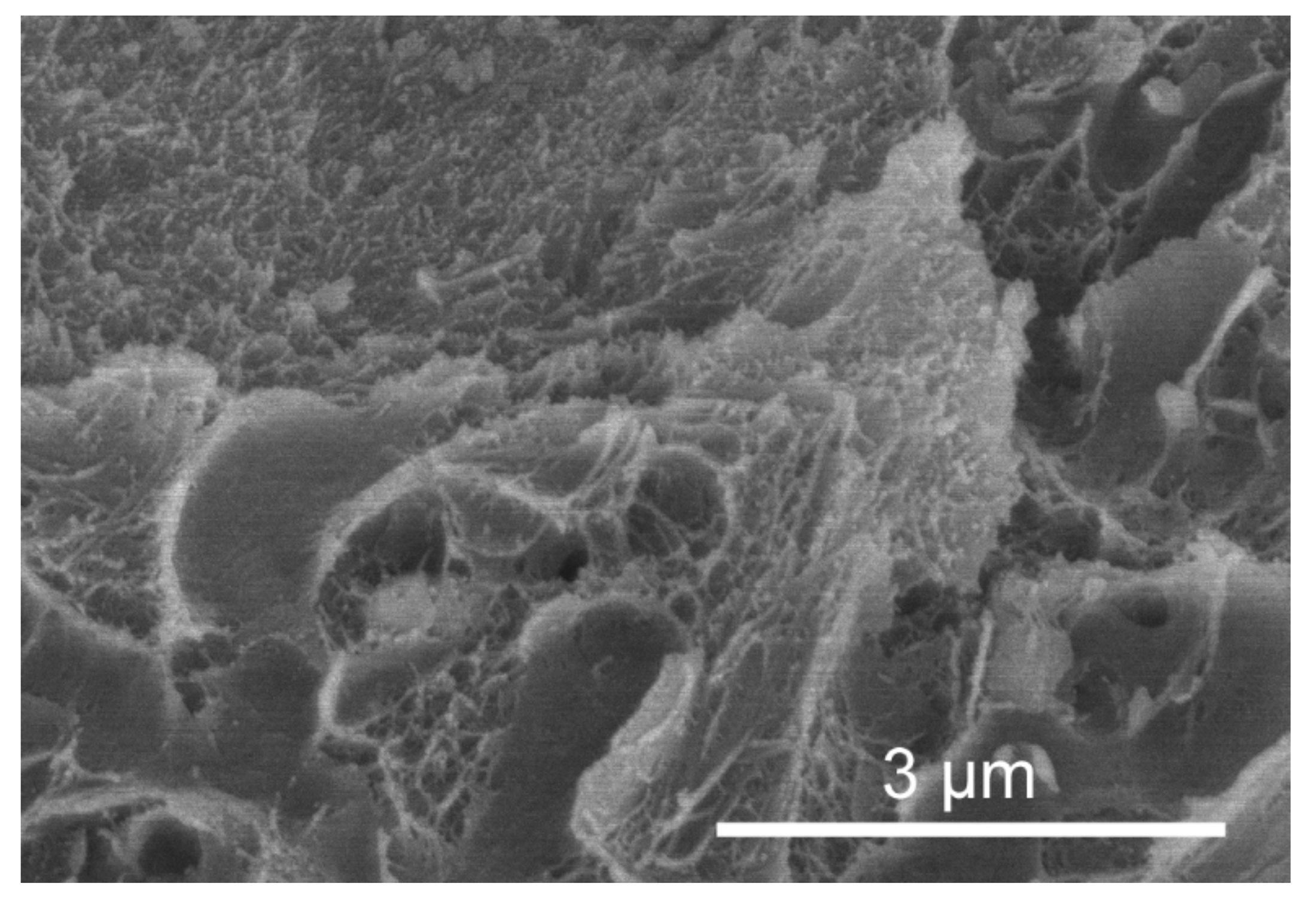 Minerals 11 01151 g006