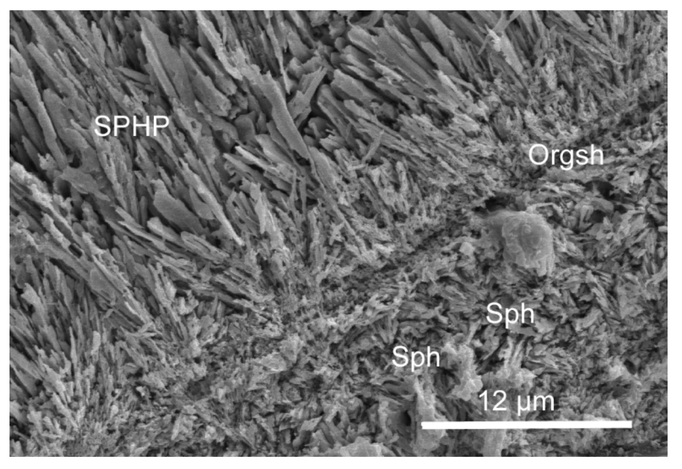 Minerals 11 01151 g007