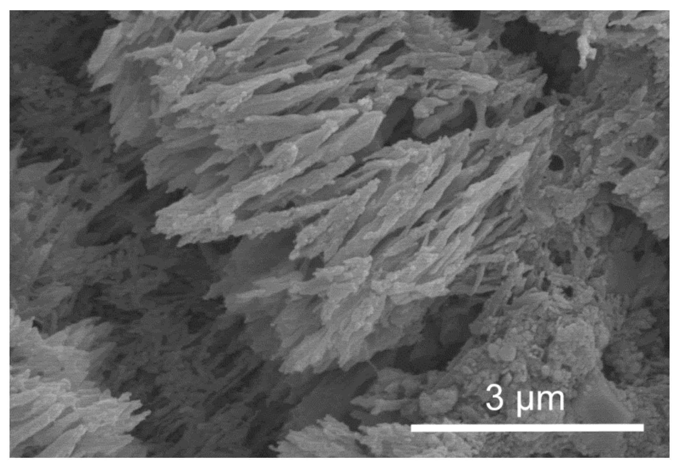 Minerals 11 01151 g008