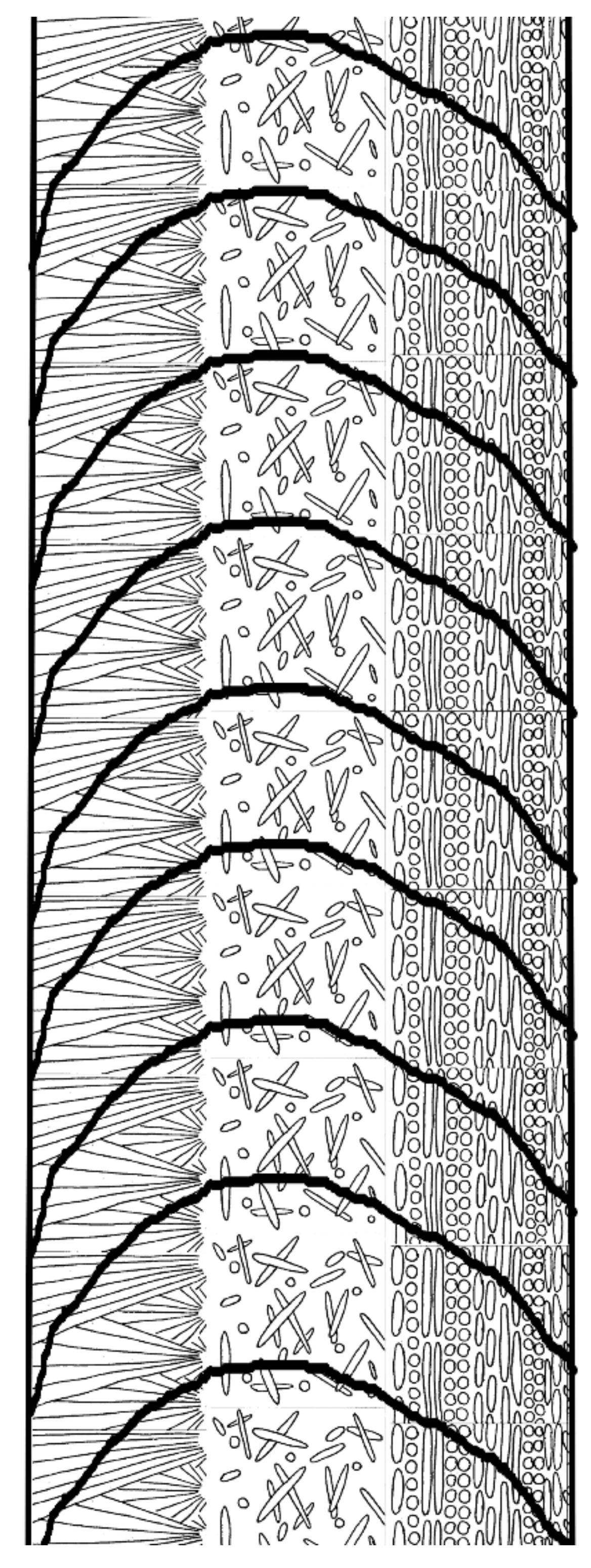 Minerals 11 01151 g009