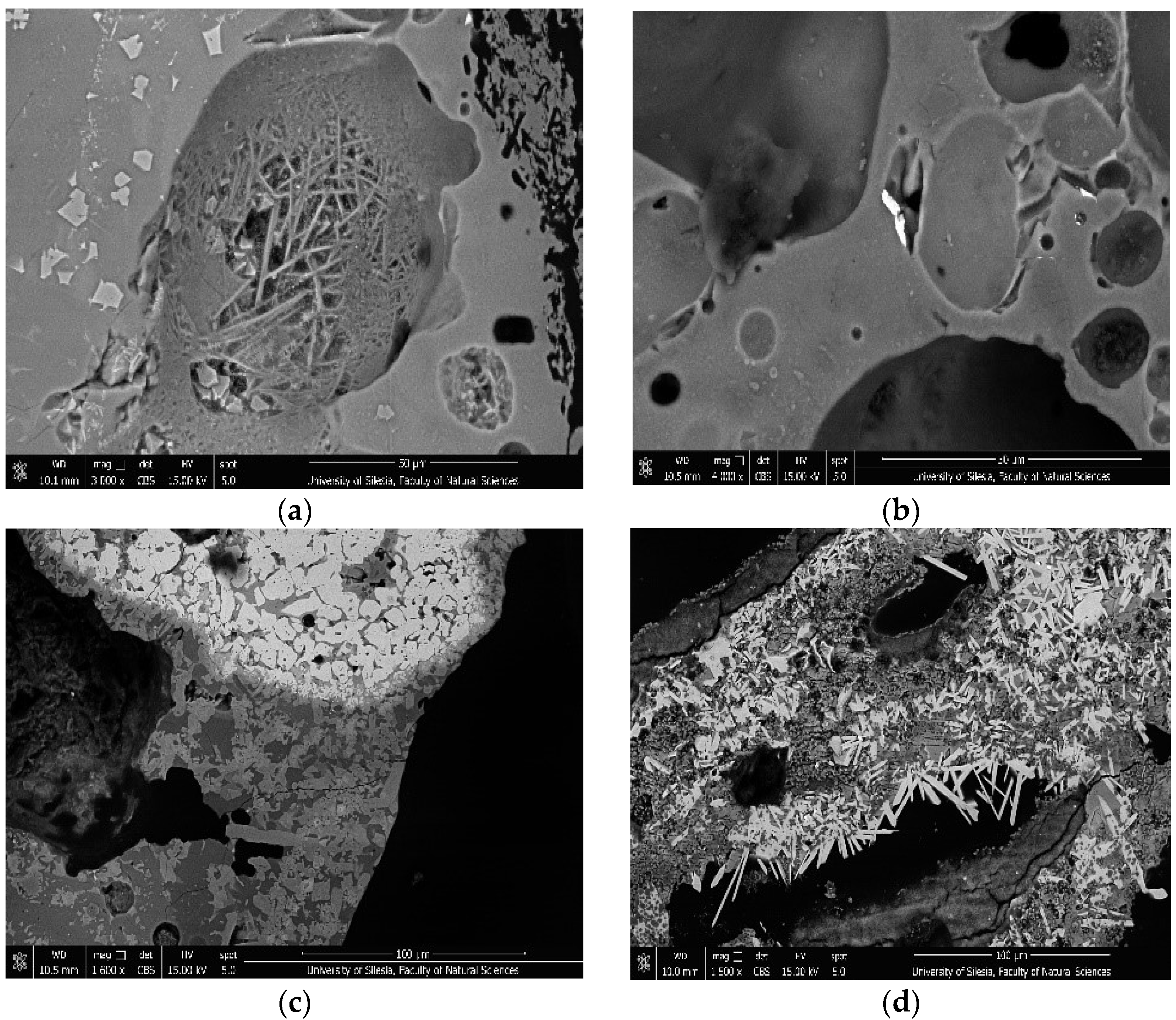 Minerals 11 01155 g004a