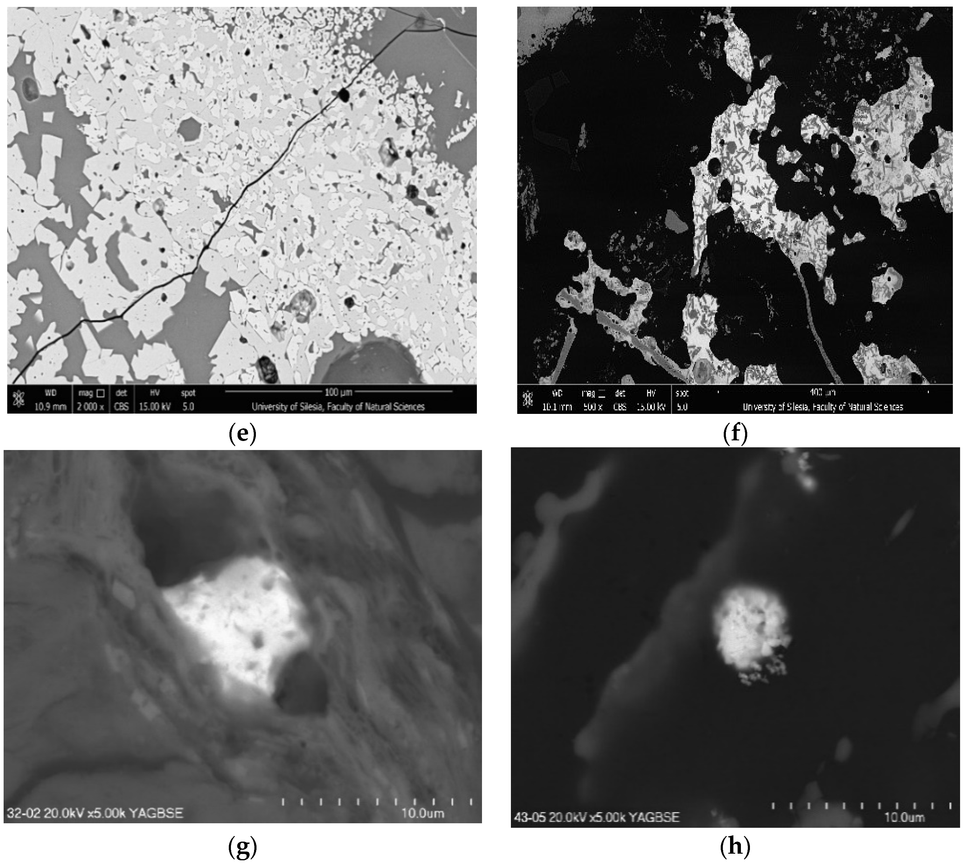 Minerals 11 01155 g004b
