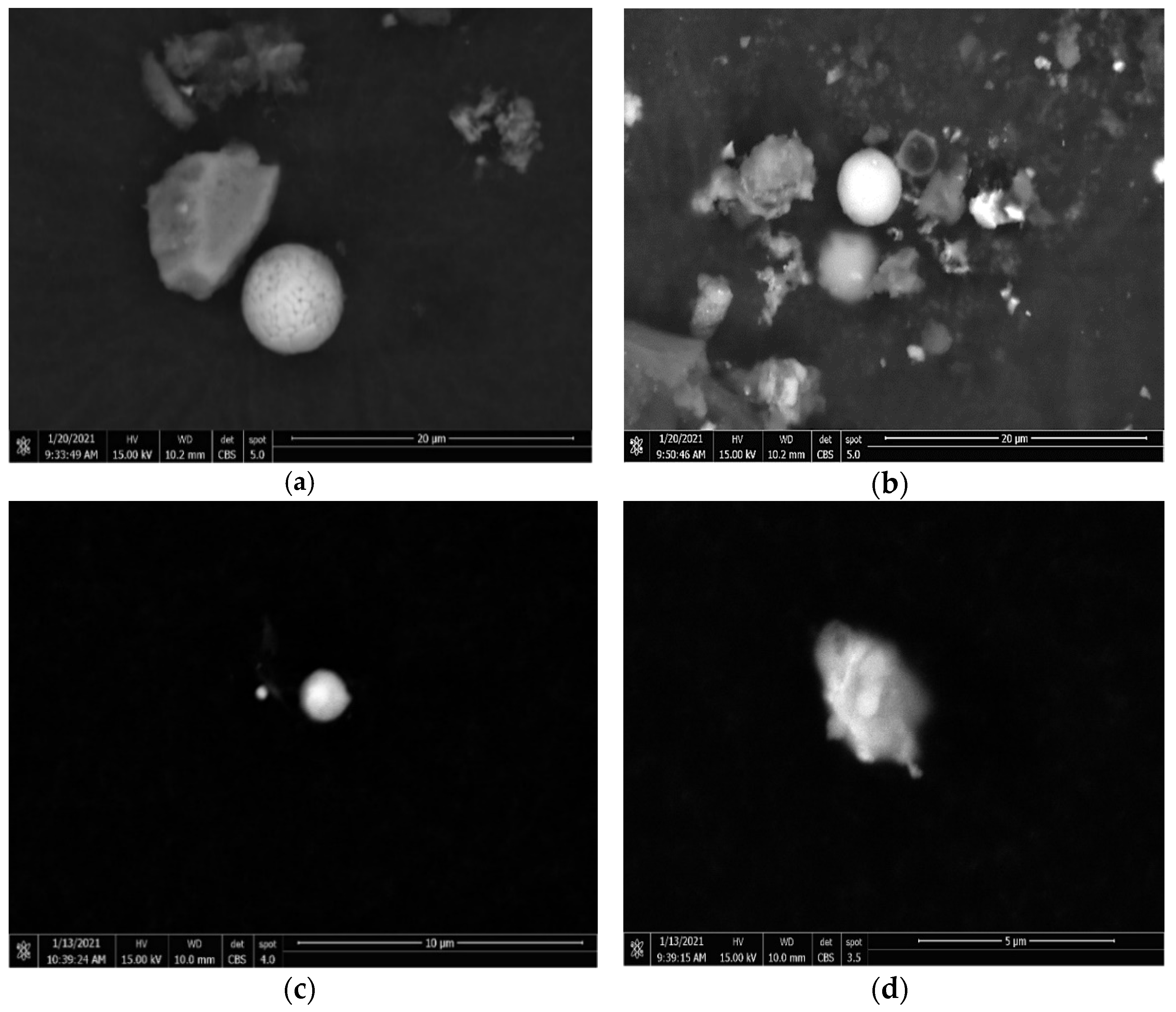 Minerals 11 01155 g006a