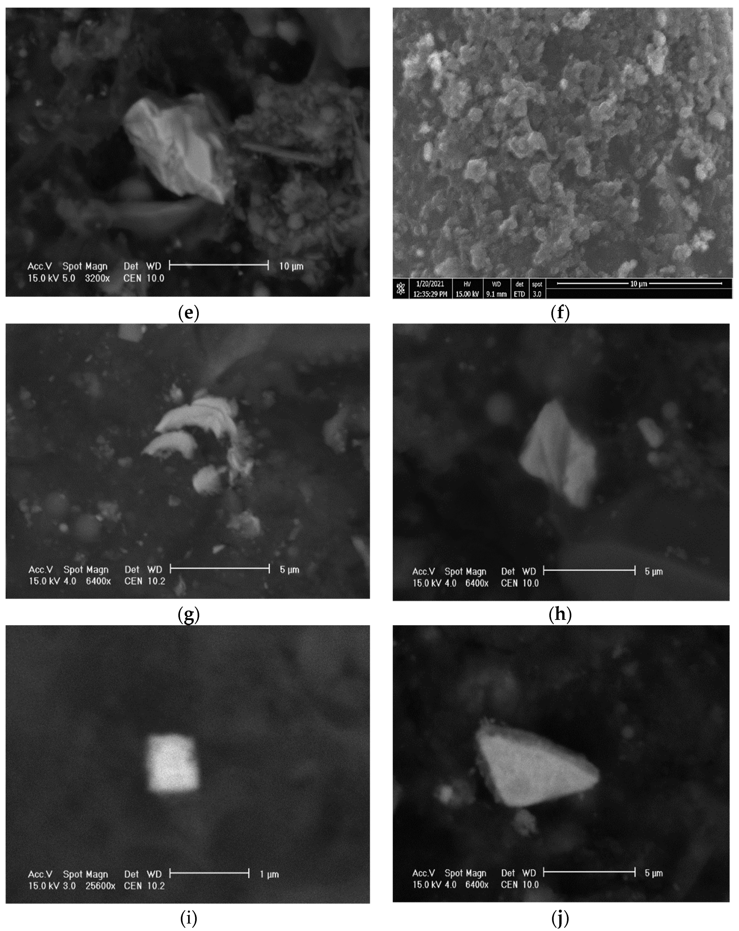 Minerals 11 01155 g006b