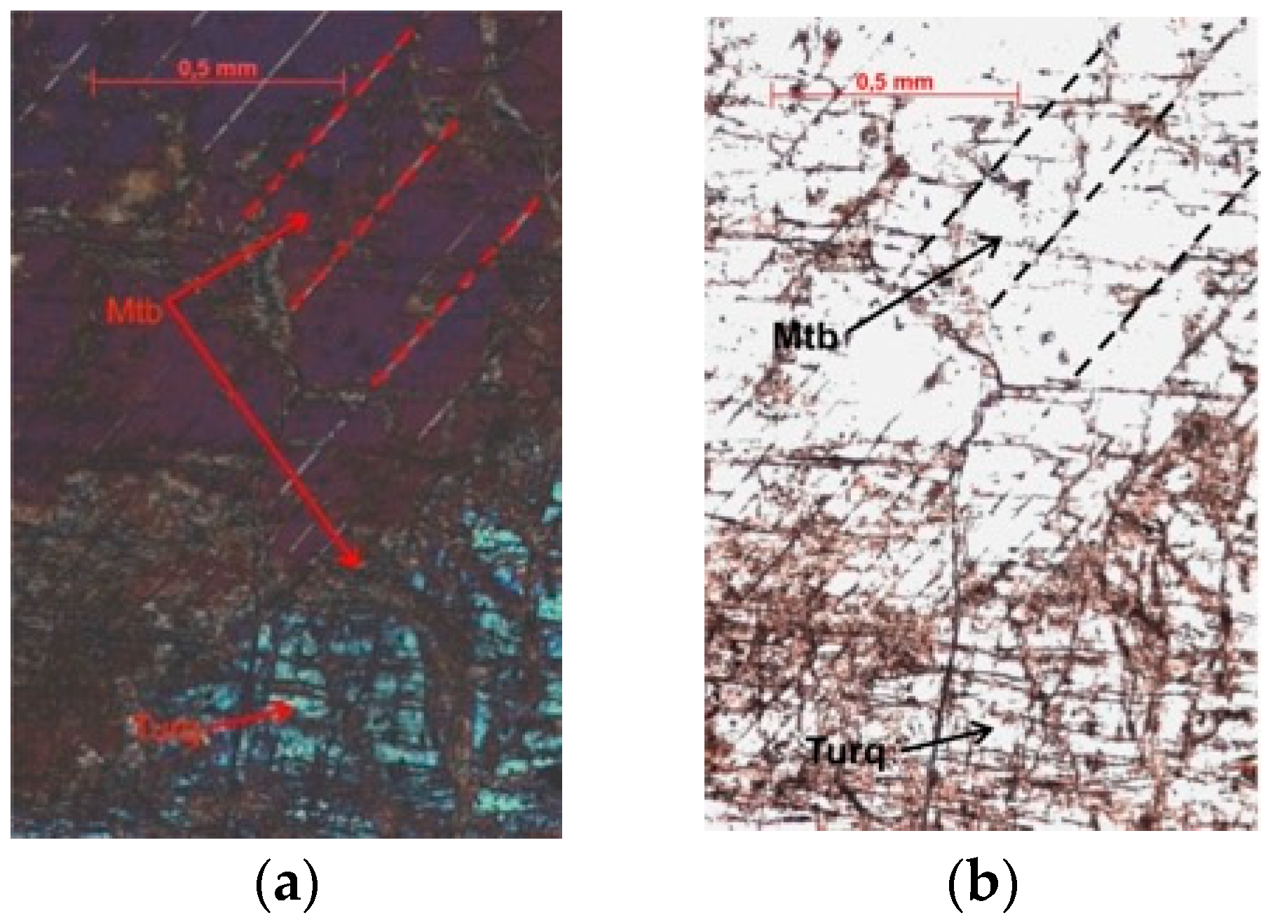 Minerals 11 01169 g005