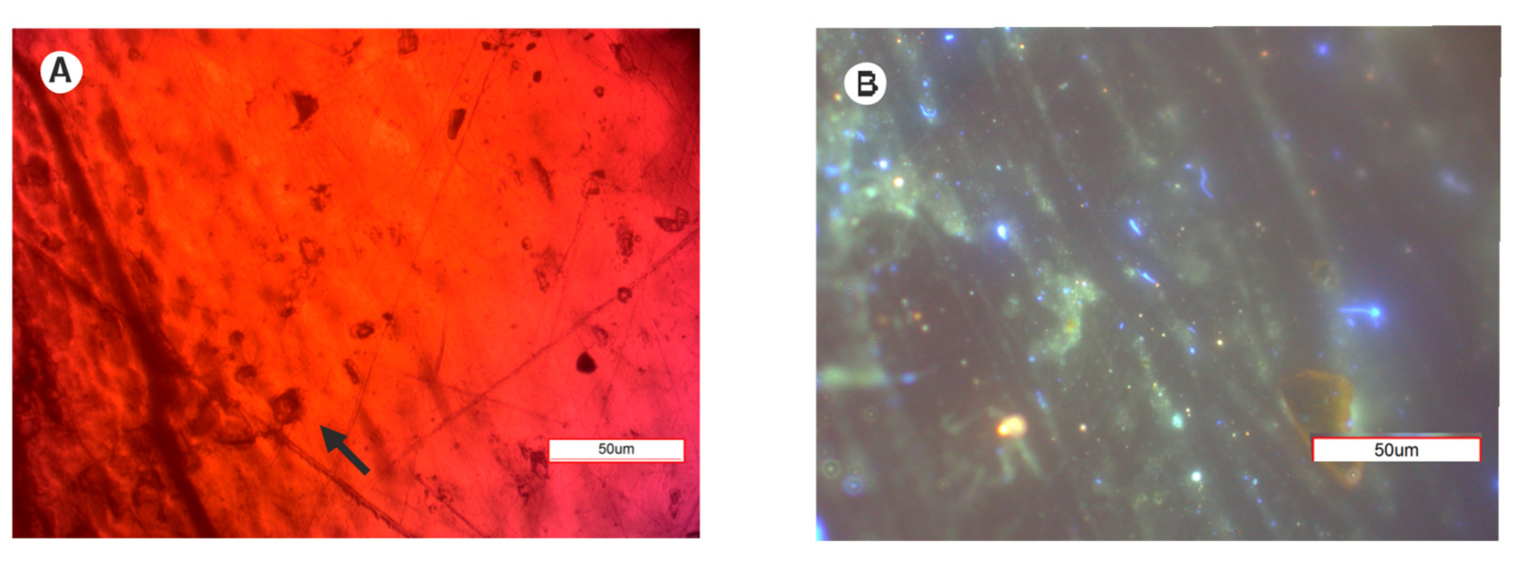 Minerals 11 01171 g004