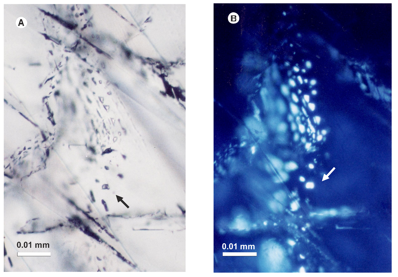 Minerals 11 01171 g005