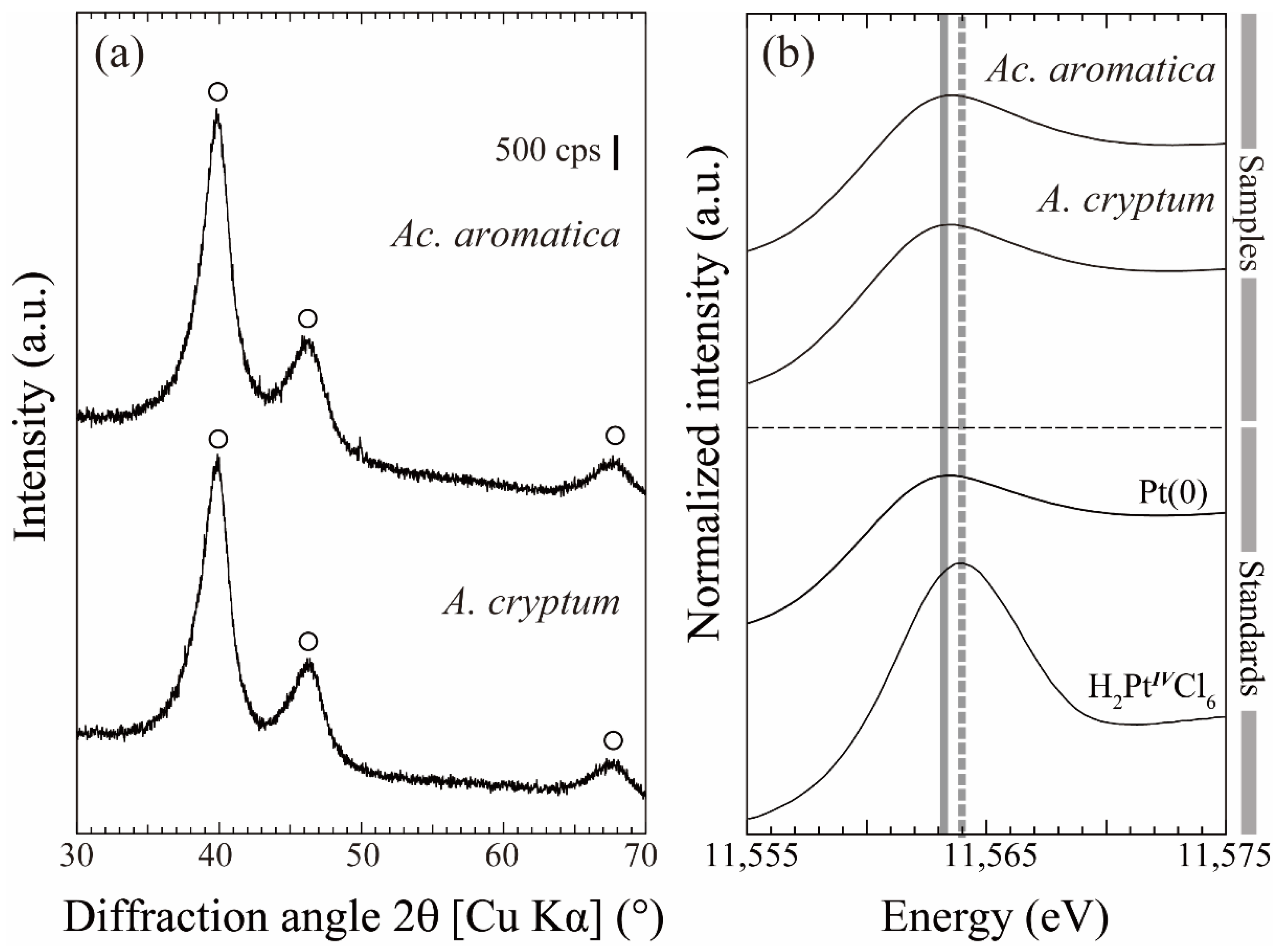 Minerals 11 01175 g004