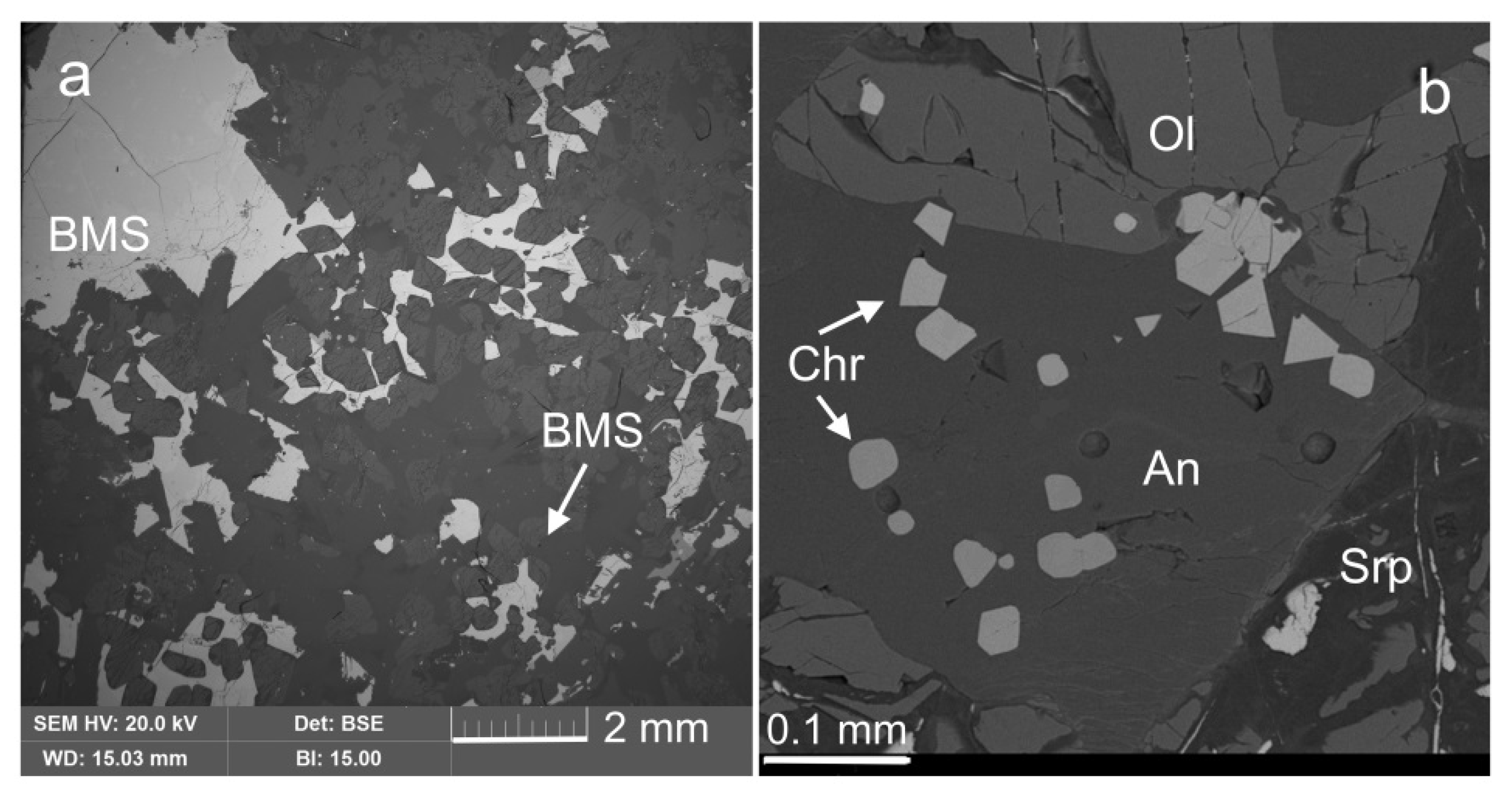 Minerals 11 01193 g003