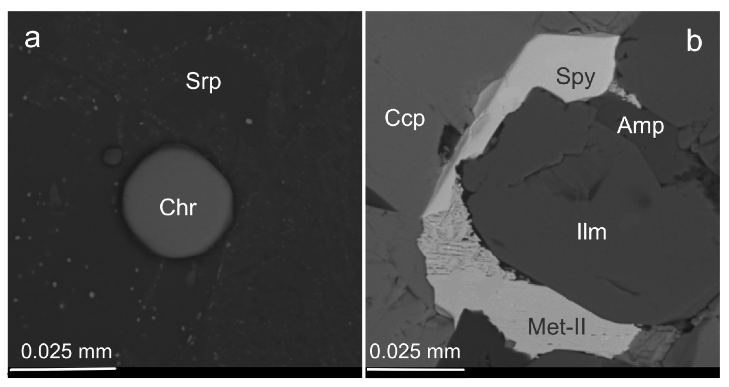 Minerals 11 01193 g005