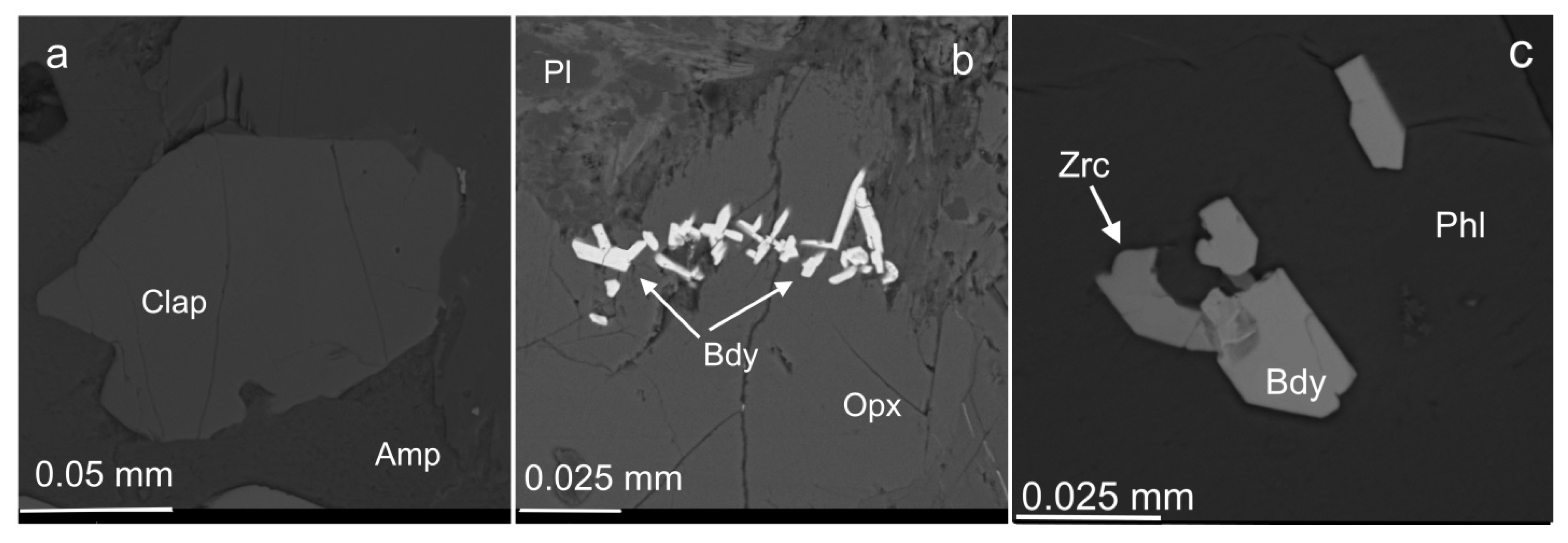Minerals 11 01193 g010