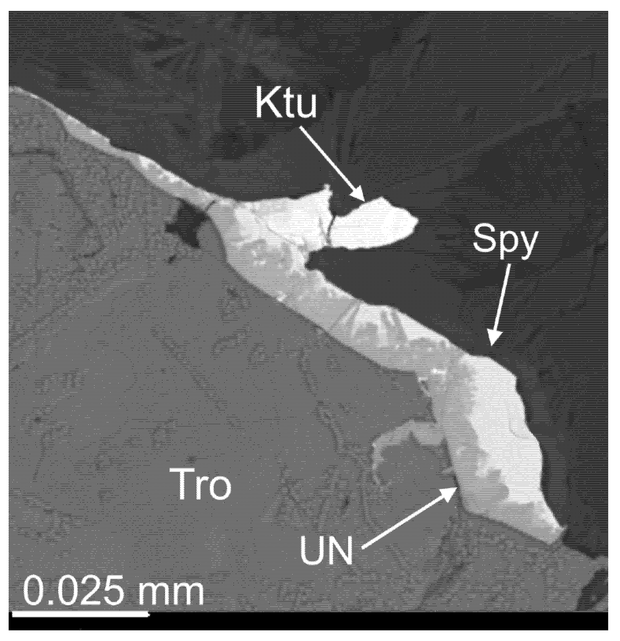 Minerals 11 01193 g029