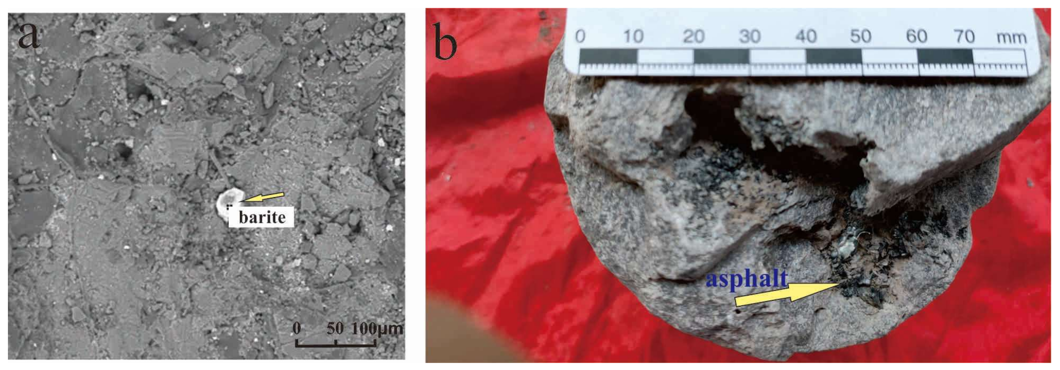 Minerals 11 01212 g003