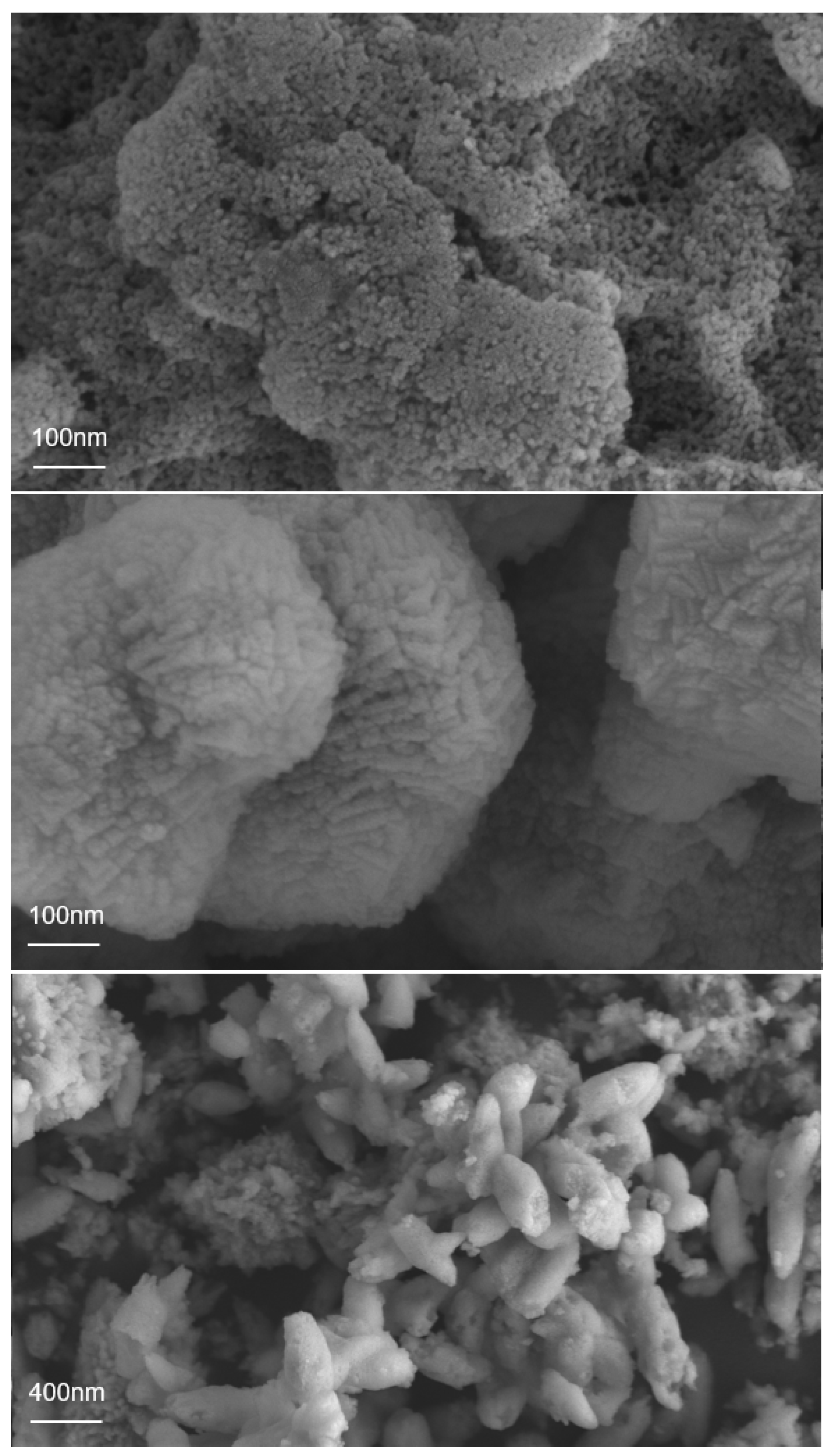 Minerals 11 01214 g003