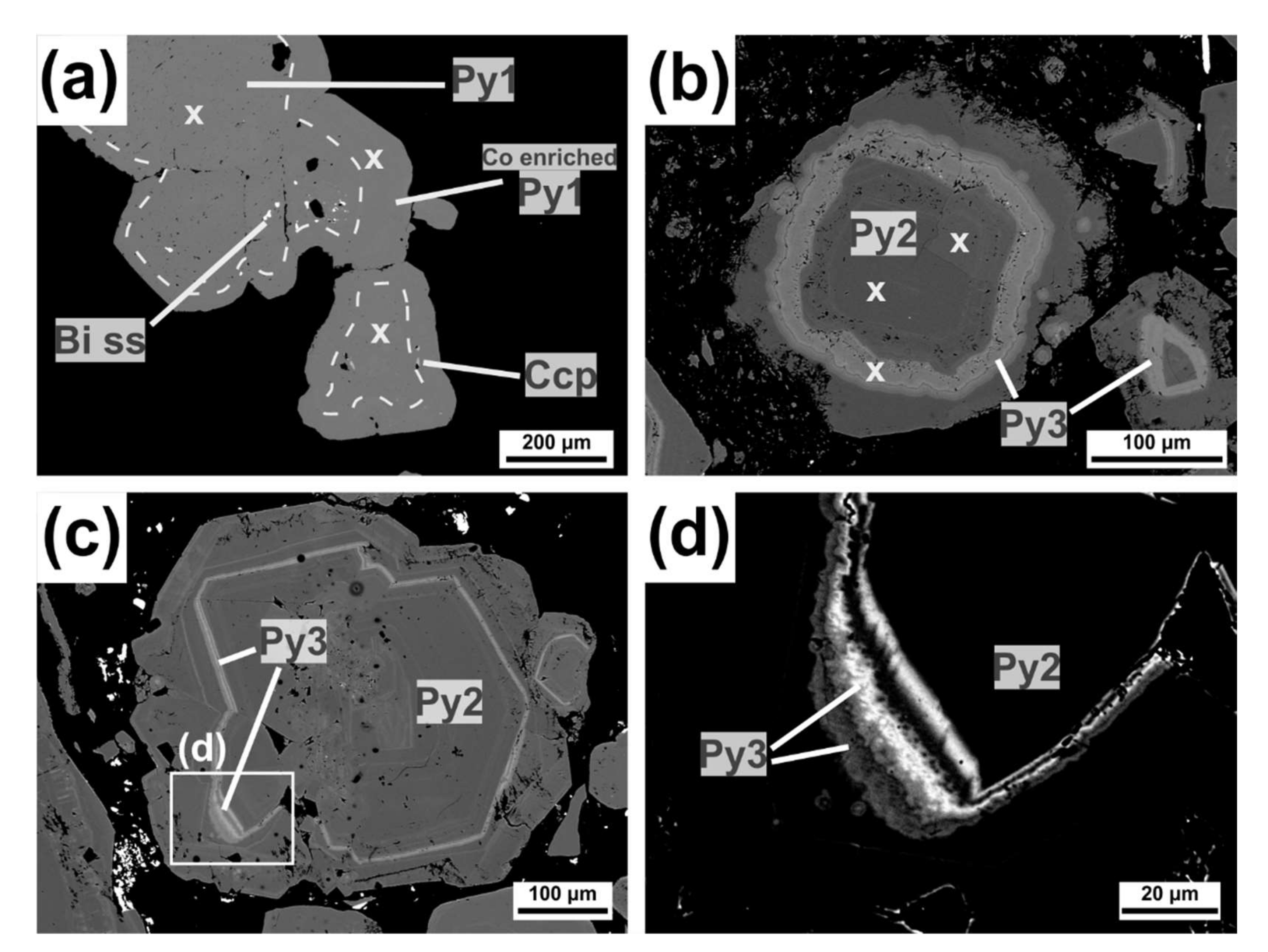 Minerals 11 01223 g009