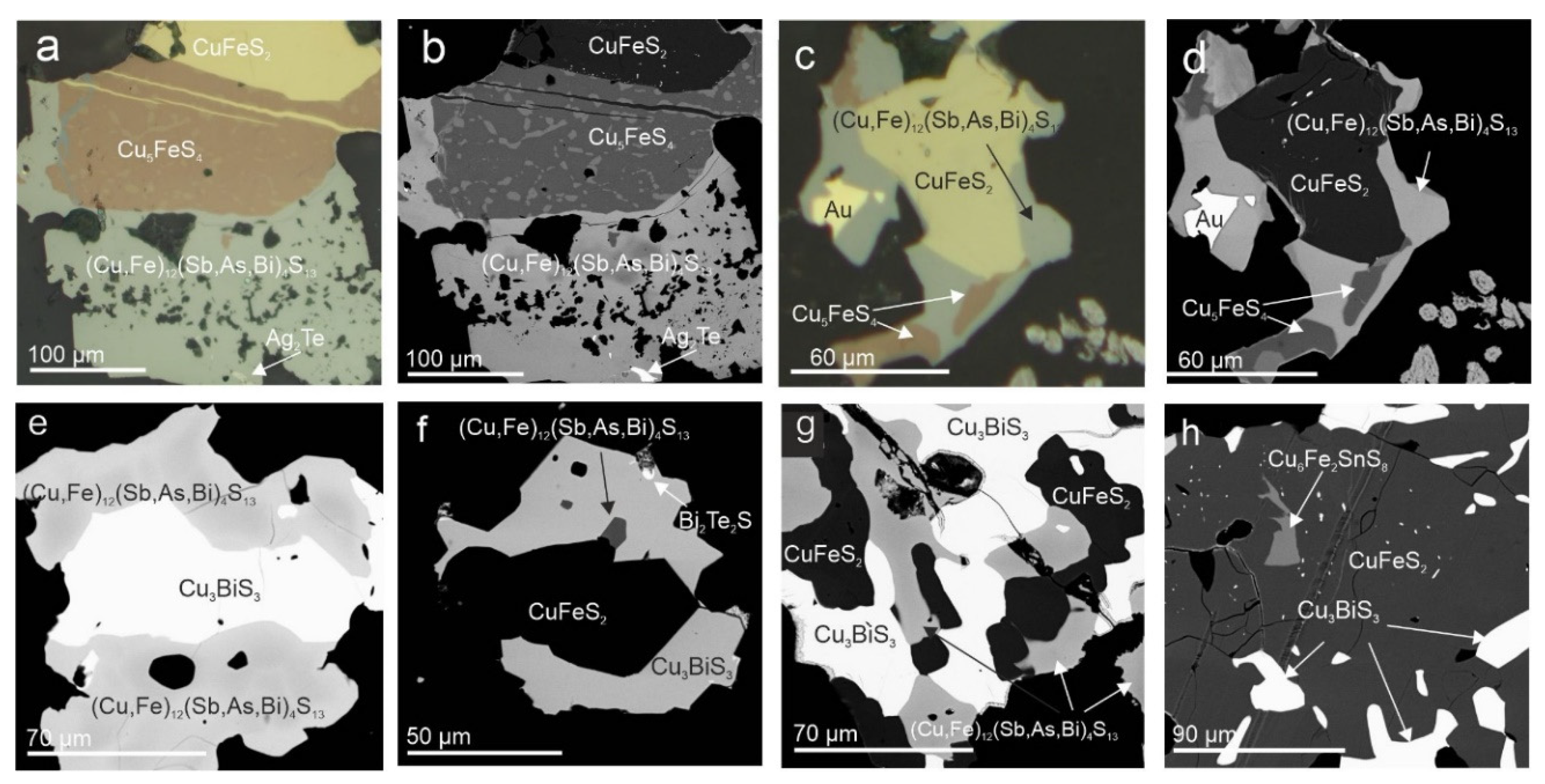 Minerals 11 01225 g010 550